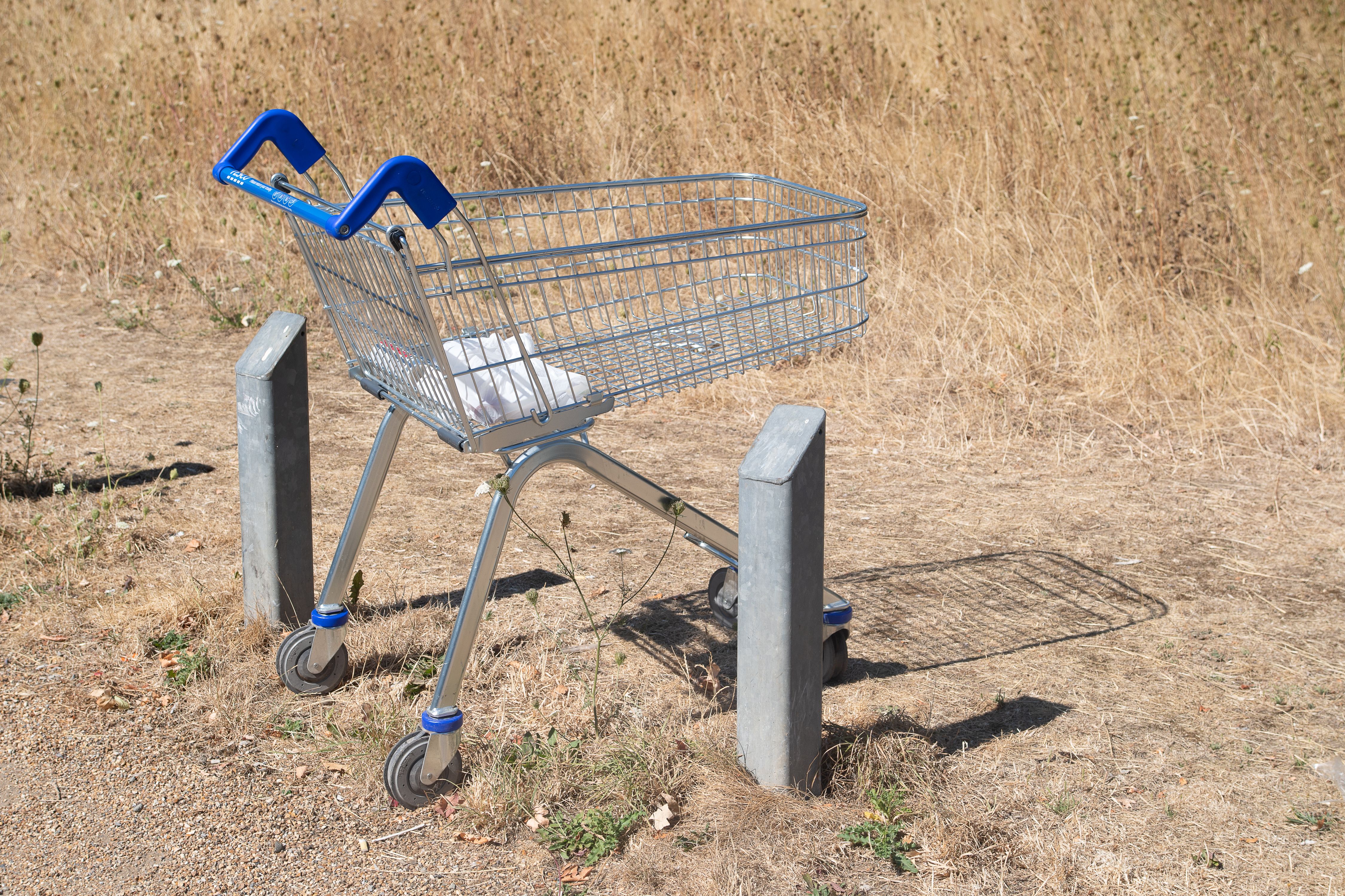 A shopping trolley dumped by the Jubilee River in parched grass on Thursday