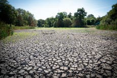 Water firms fail on targets to cut household leaks and domestic use as drought looms