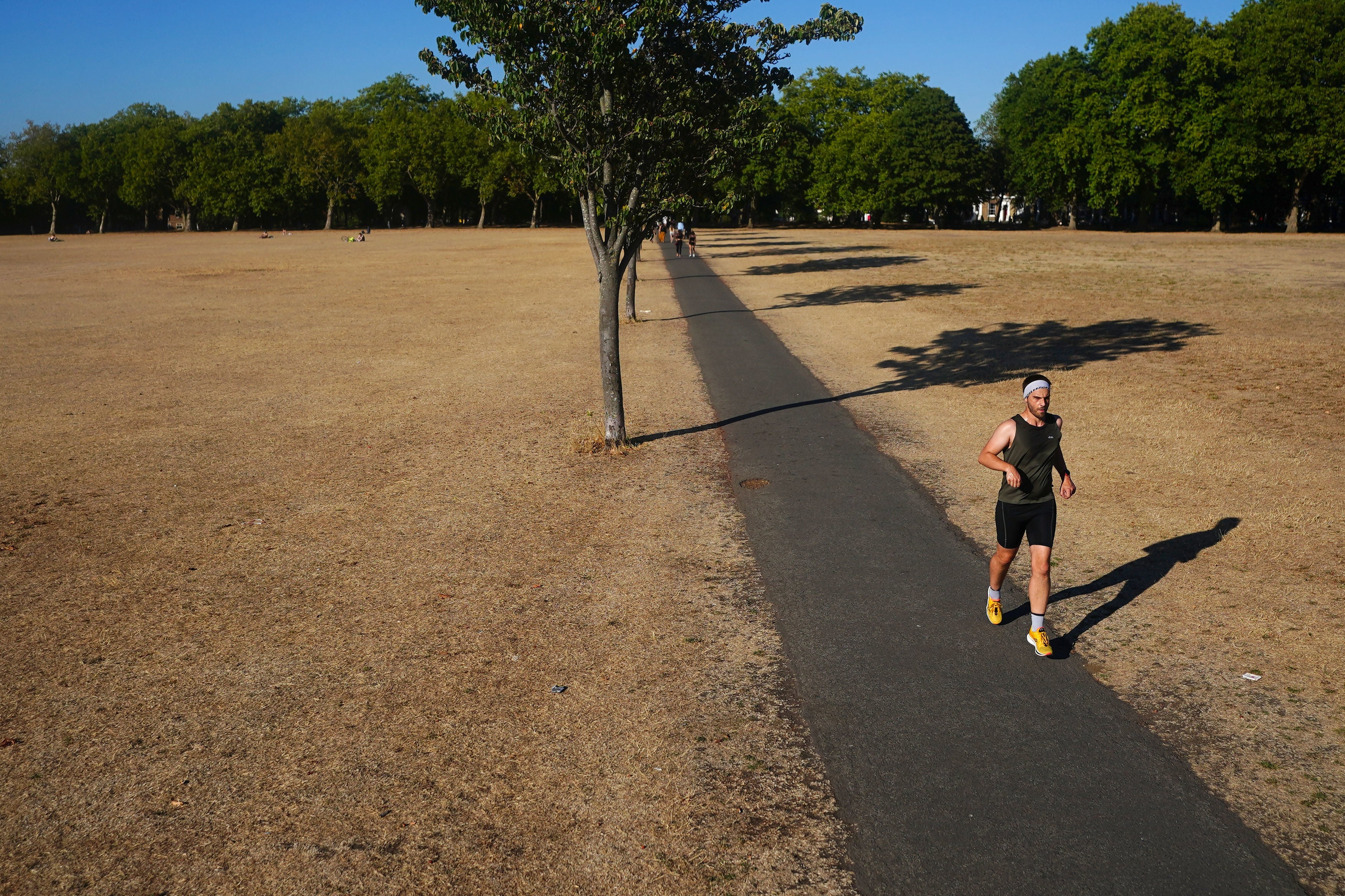 A person jogging on a path amongst dead grass in Victoria Park, east London