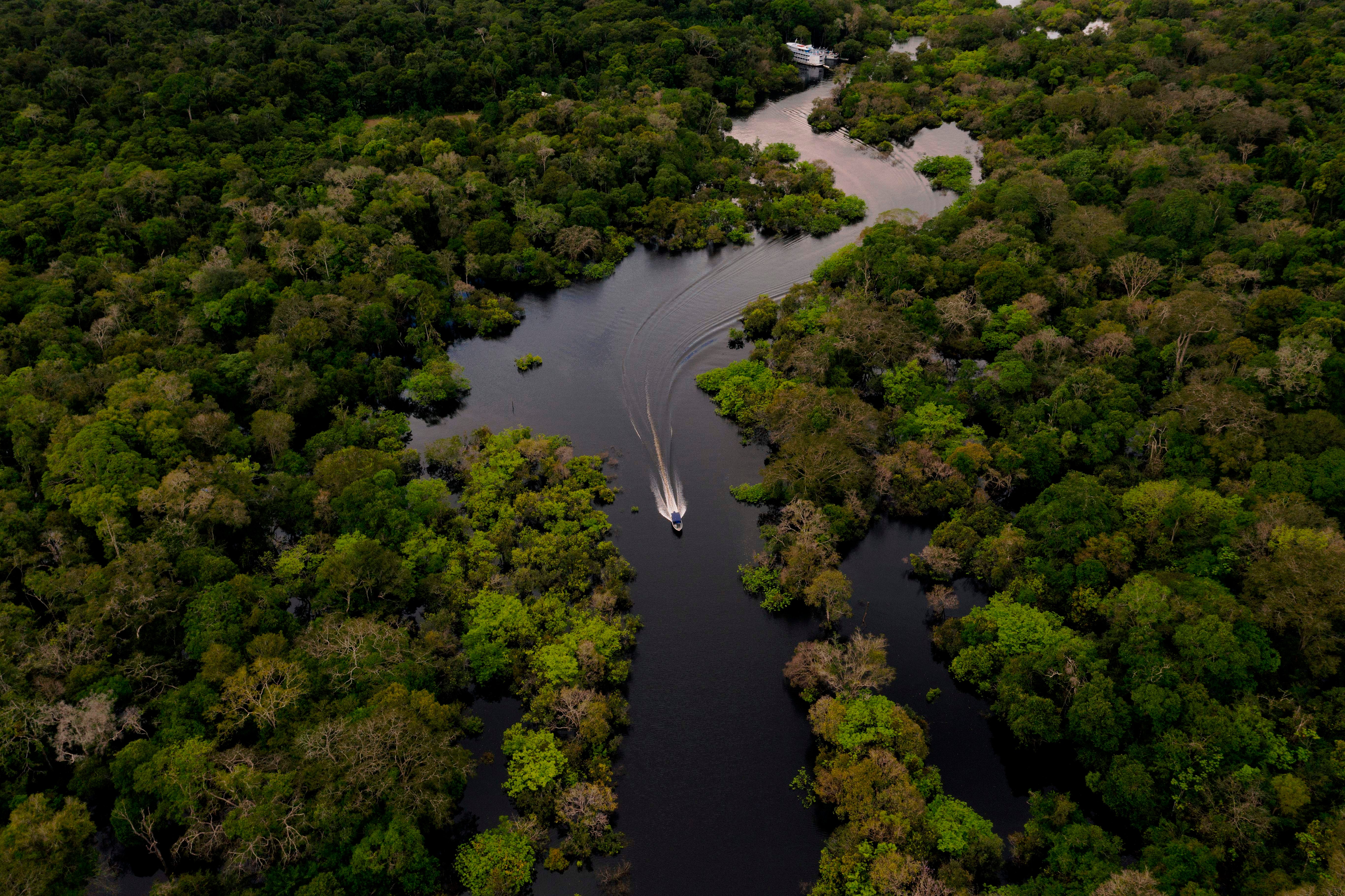 Dr Alberto Villoldo, an anthropologist who specialises in tribal communities around the world, has written a book about what the West can learn from the Amazon