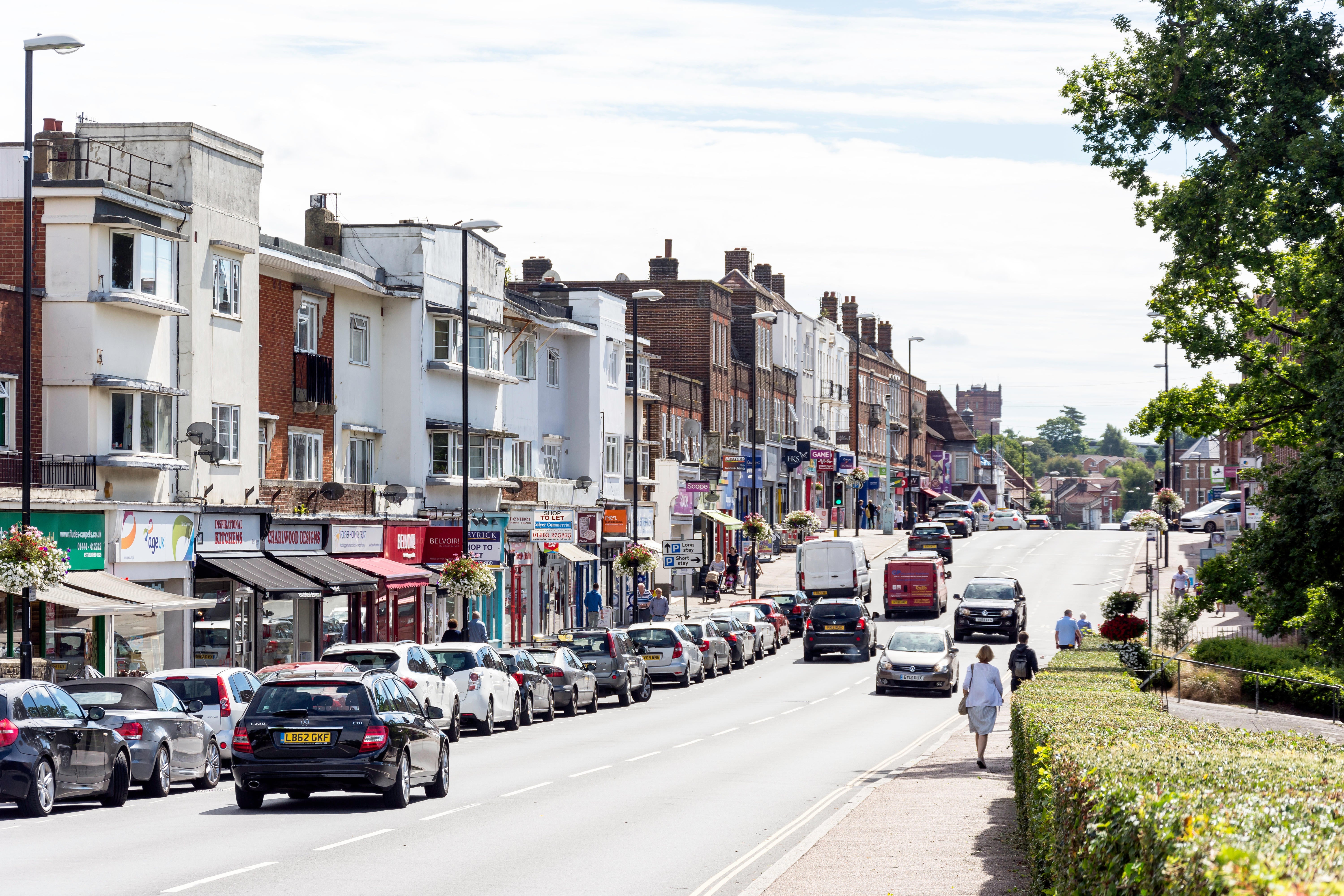 Haywards Heath is the first European town to sign up for the plant-based treaty