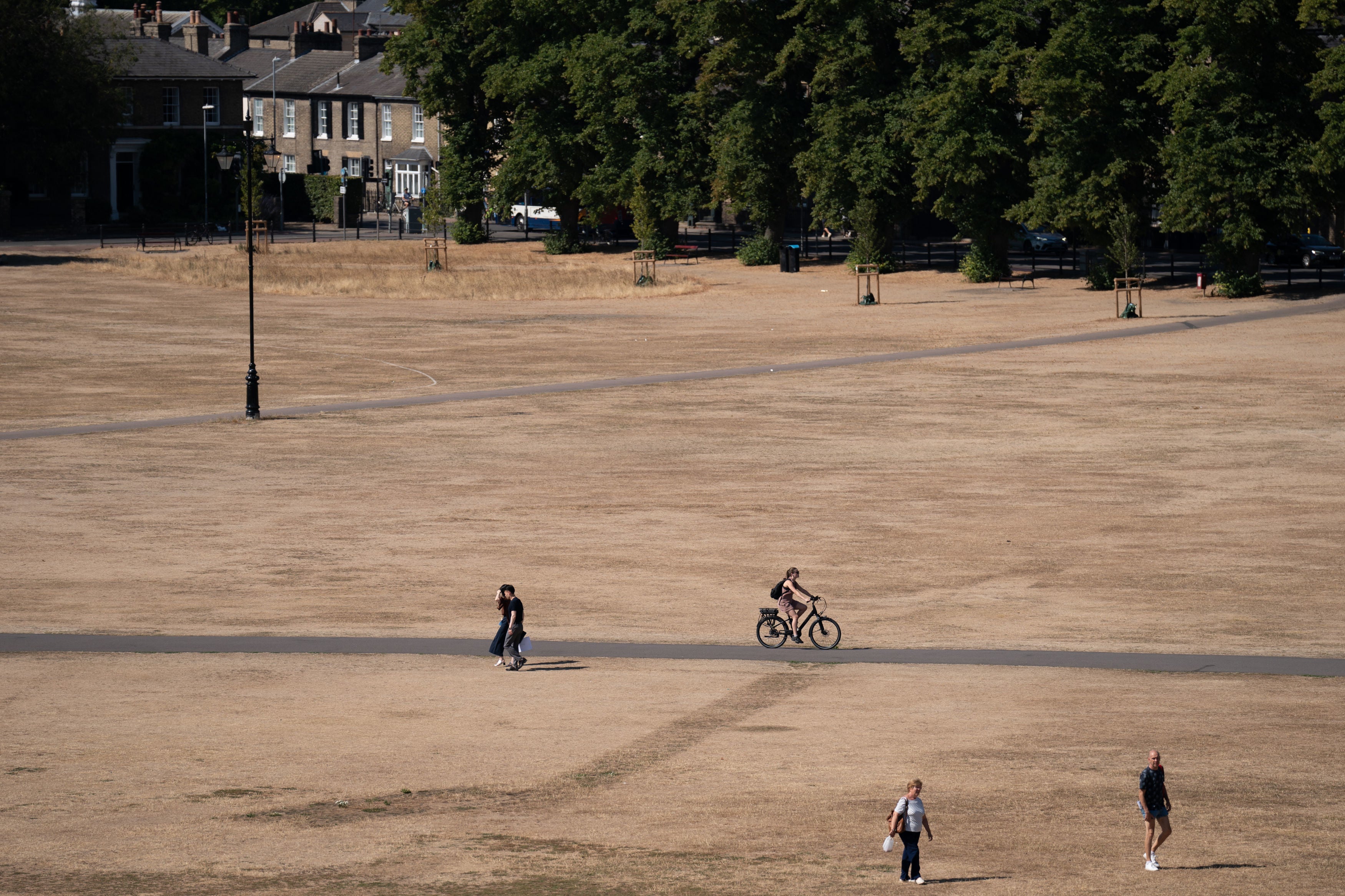 Parched grass on Parker’s Piece in Cambridge