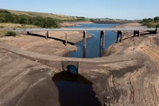 ‘You ain’t seen nothing yet’: Warning UK must brace itself for more drought, heat and fire