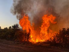 Wildfires increase by 500% in parts of UK as government urged to hold emergency meeting on water supply