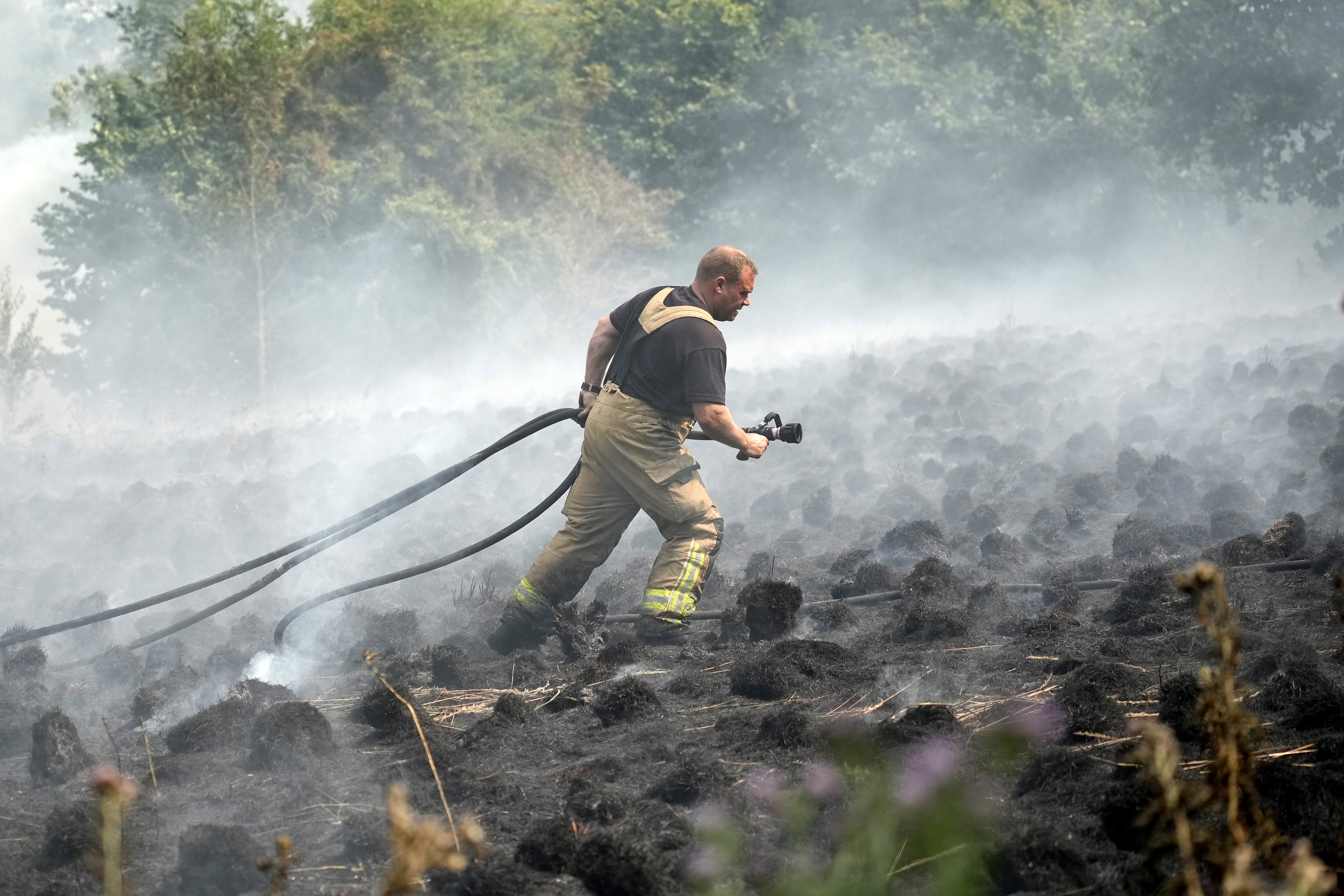 The UK faced wildfires of its own last summer when record temperatures were recorded