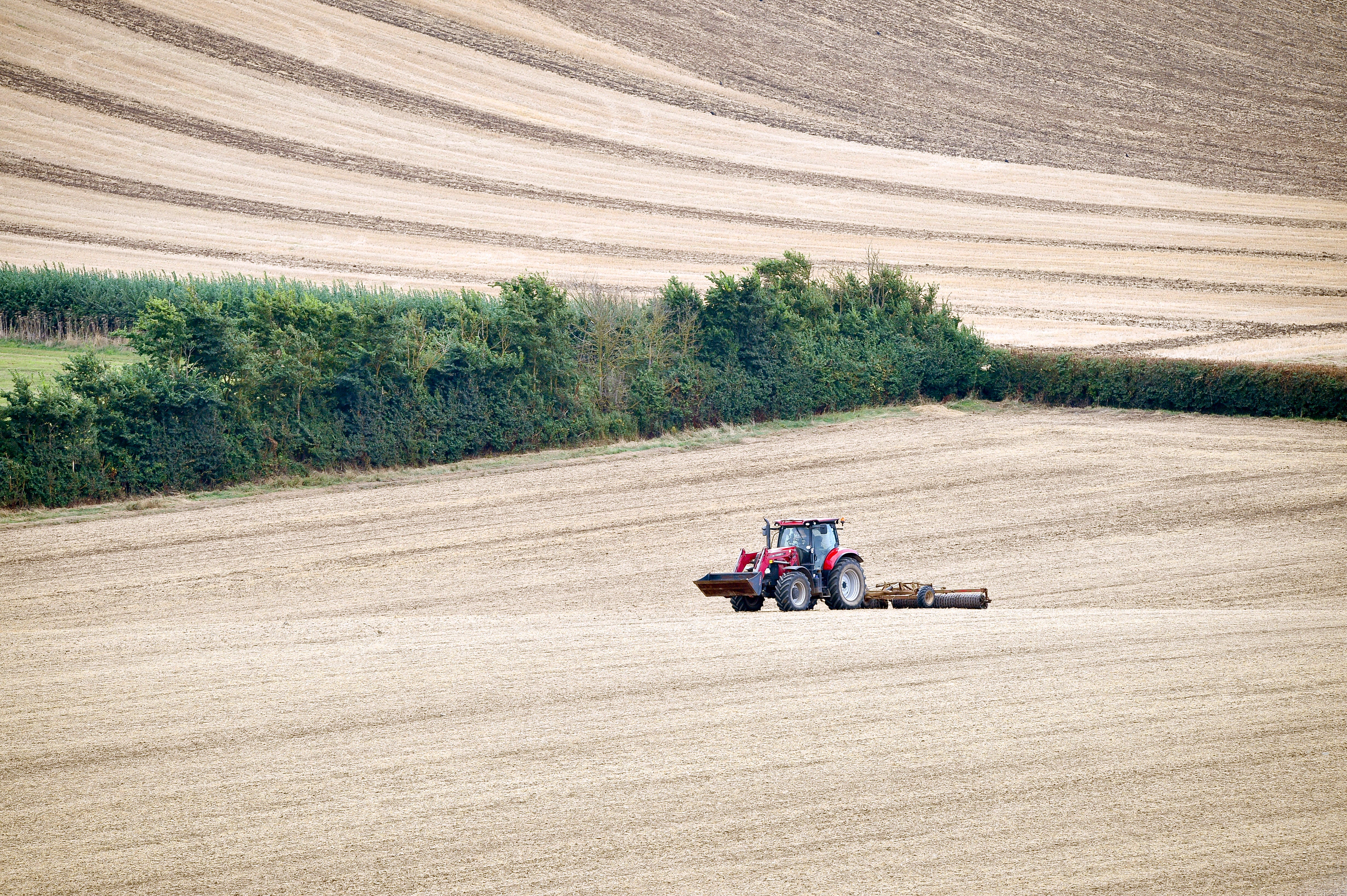 Paying farmers on low-yield land to restore nature would boost their income, cut carbon and help nature thrive, a think tank says (Ben Birchall/PA)