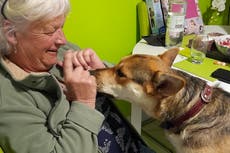 Woman forced to put down five dogs after becoming first in UK to be diagnosed with ultra-rare disease