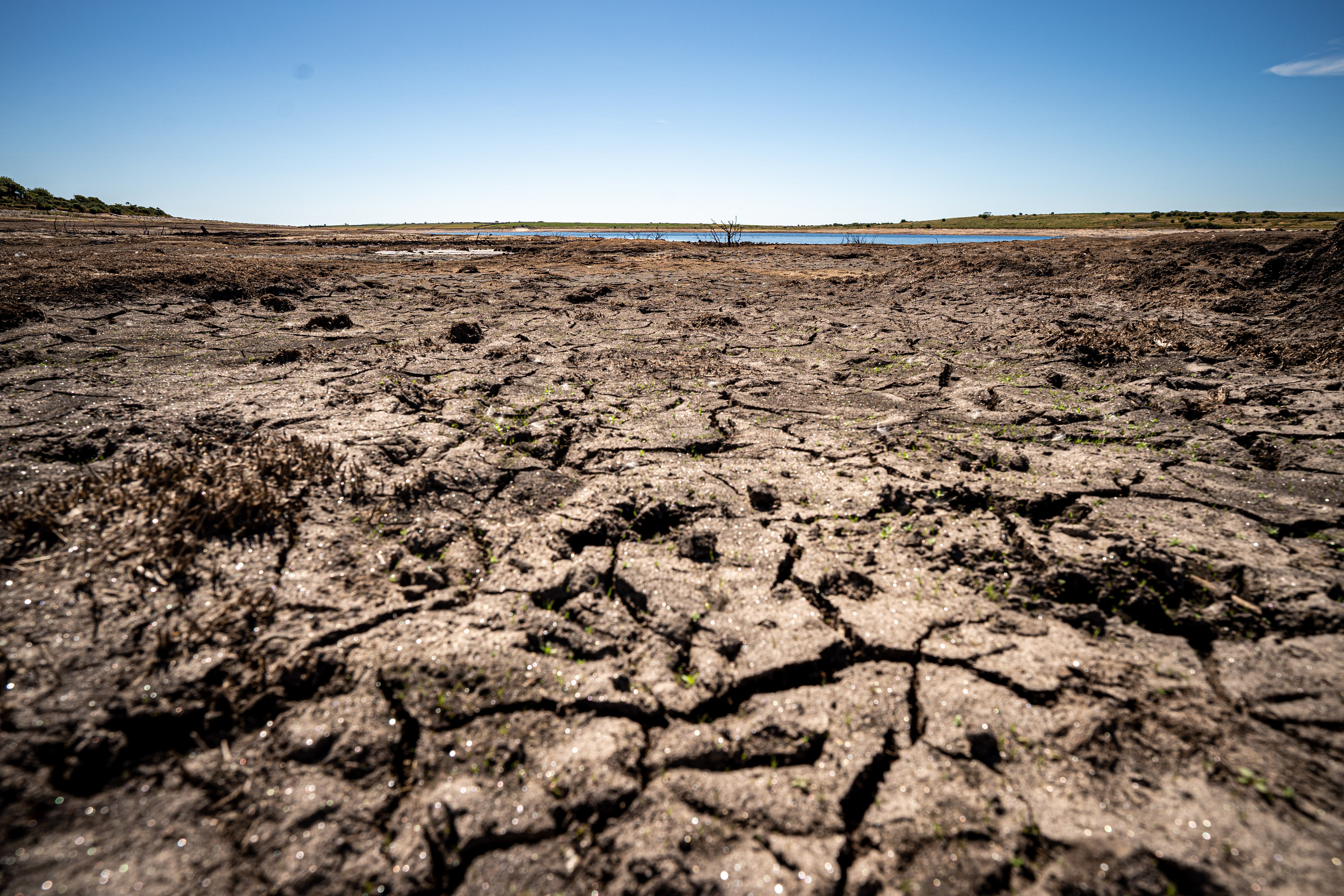 Dried mud and old trees at Colliford Lake, where water levels have severely dropped exposing the unseen trees and rocks at Cornwall’s largest lake and reservoir (PA)