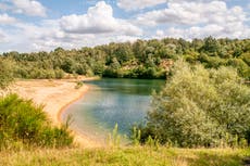 Two men accused of throwing disposable BBQ into woodland charged with arson