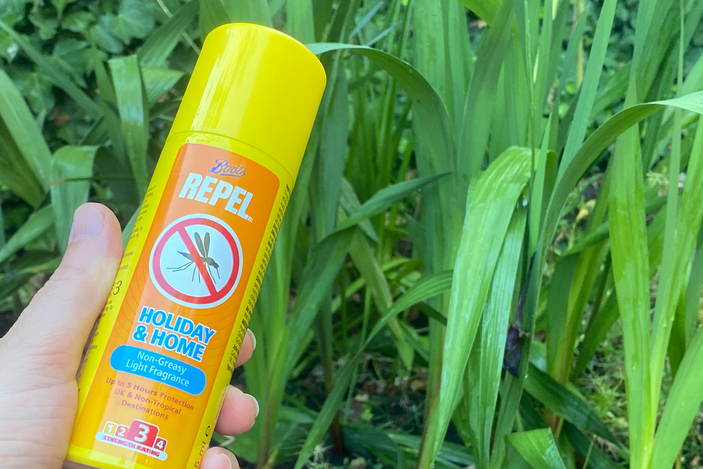 Boots repel holiday and home aerosol