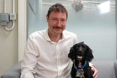 Surge in cash-strapped Britons abandoning pets due to the cost of living crisis