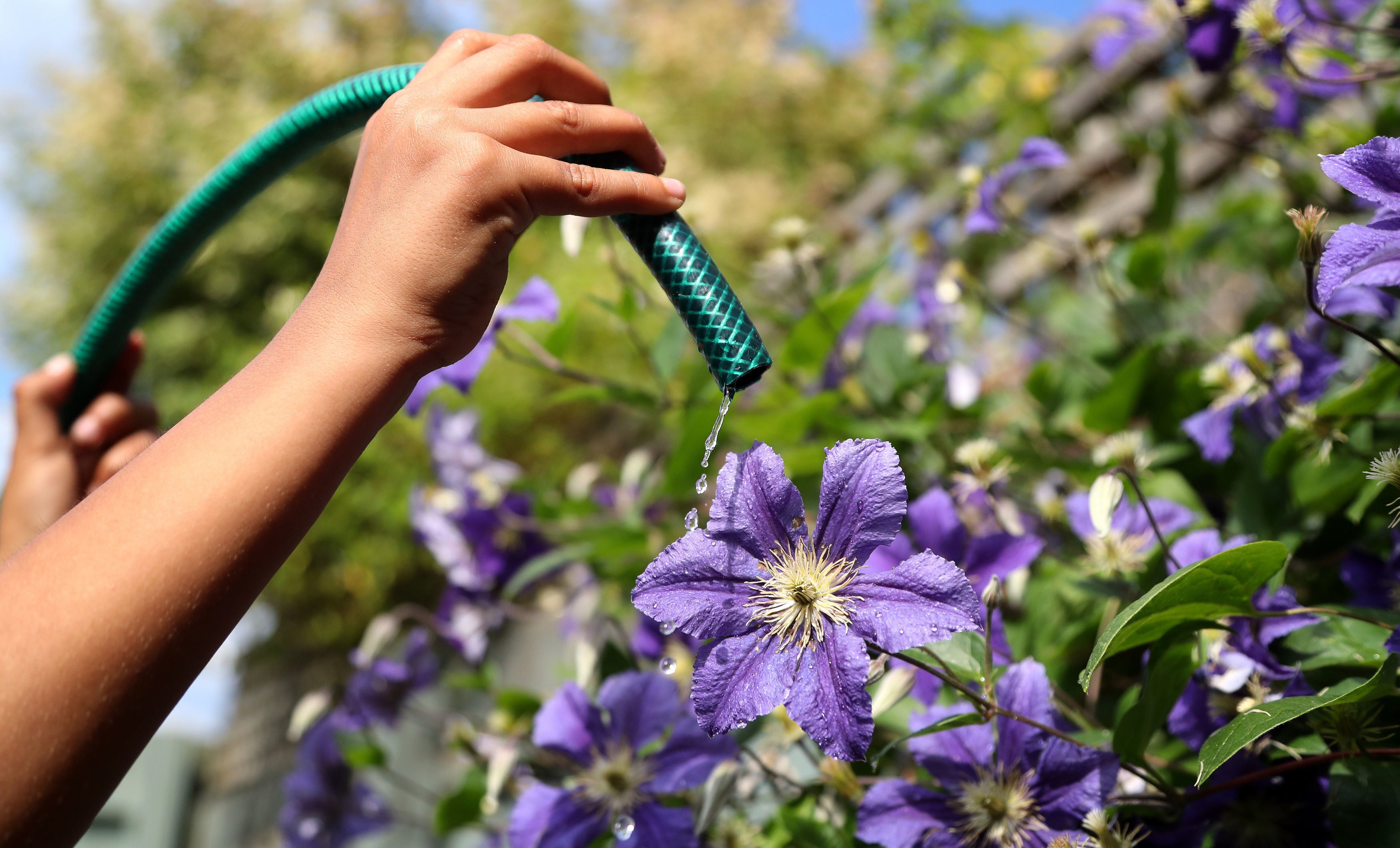 Six water companies have imposed or announced plans to impose hosepipe restrictions (Gareth Fuller/PA)