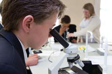 Researchers call for update to GCSE science to improve vaccine understanding