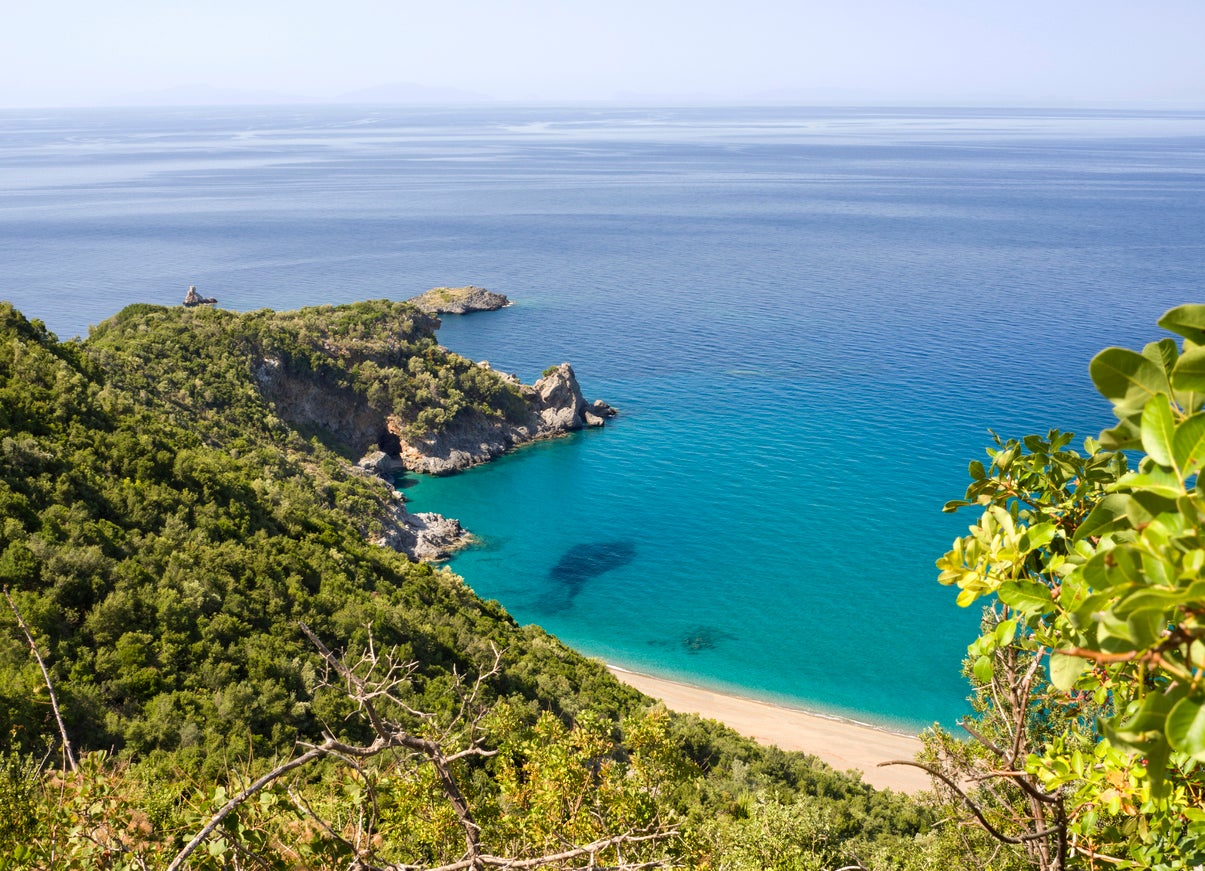 Forest and mountains on the island of Evia, Greece