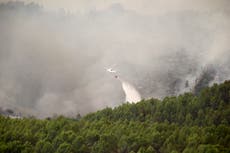 Spain: 10 injured while leaving stopped train near wildfire