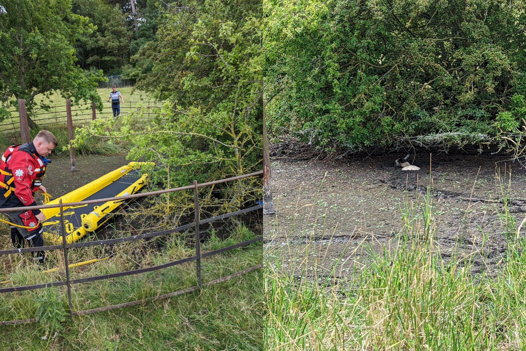 Firefighters rescued the sheep after it had been trapped for days (RSPCA/PA)