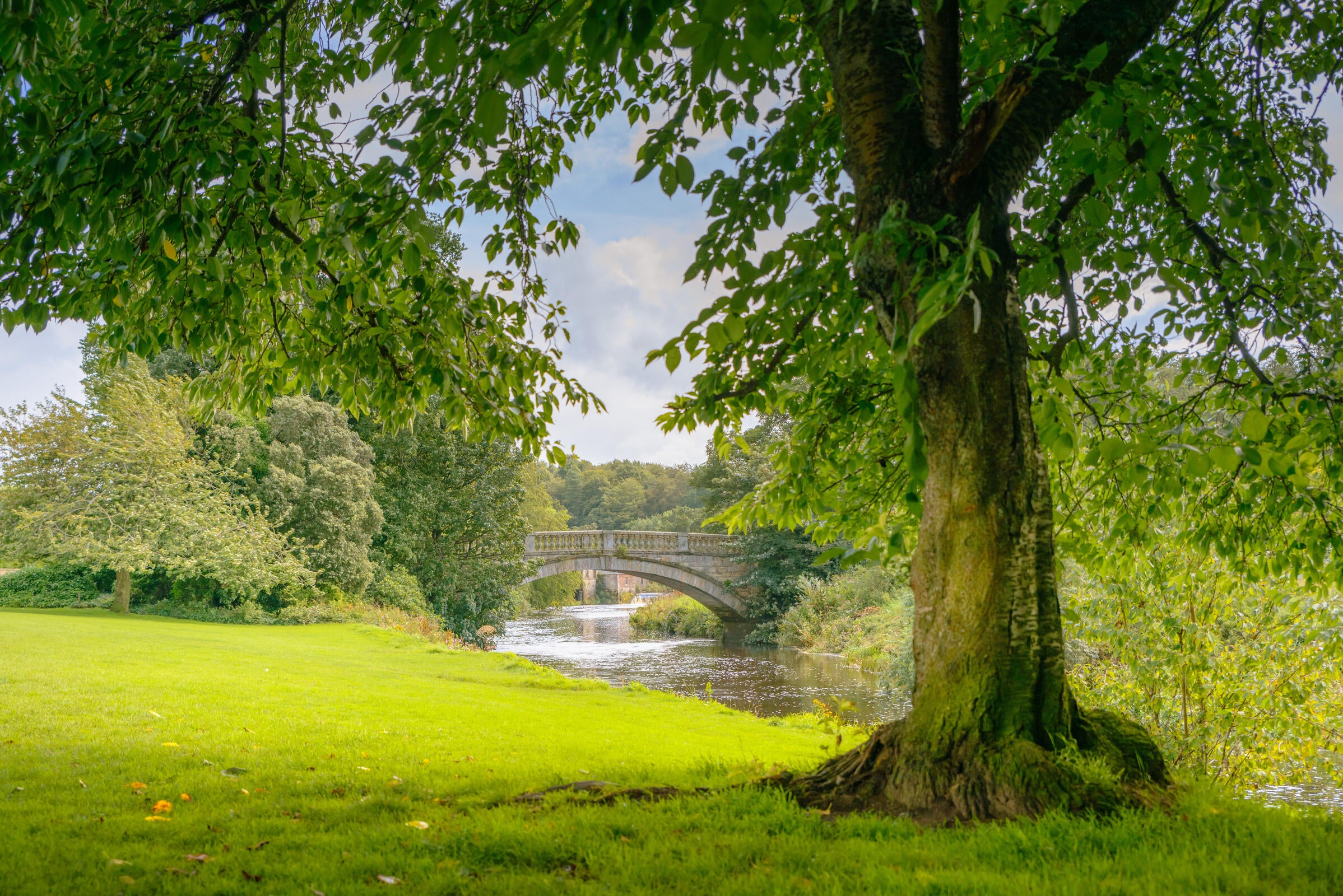 Pollok country park on Glasgow’s Southside