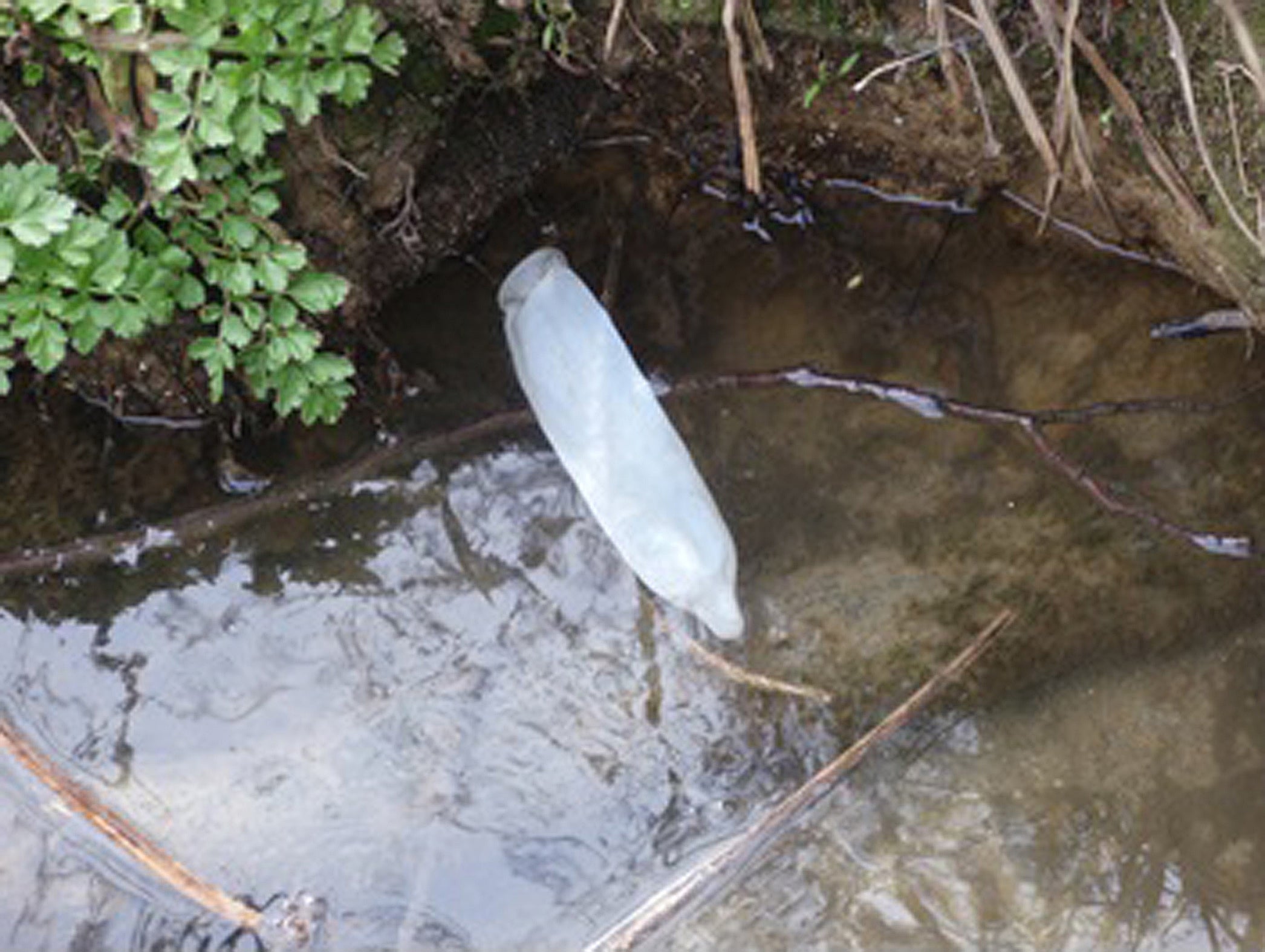 Thames Water has previously been fined £32.4 million for sewage spills