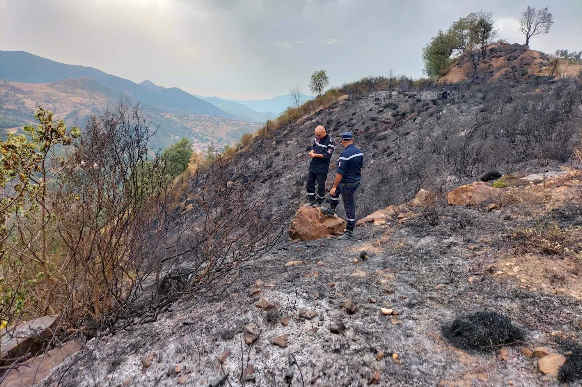 Firefighters inspect the damage caused by wildfires in Setif, Algeria