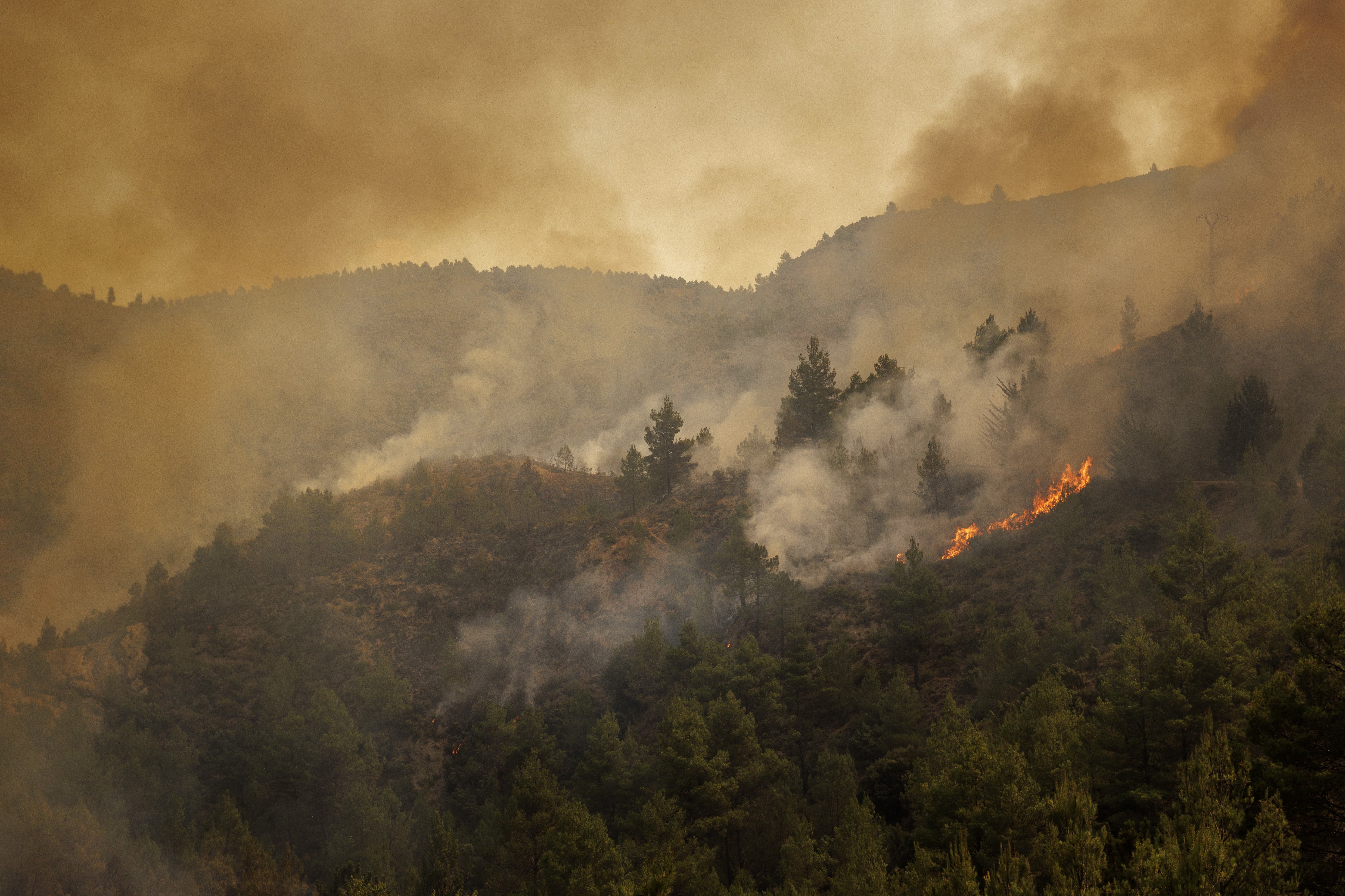 A fire spreads through a forest in the village of Bejis, Spain, on 16 August, 2022.