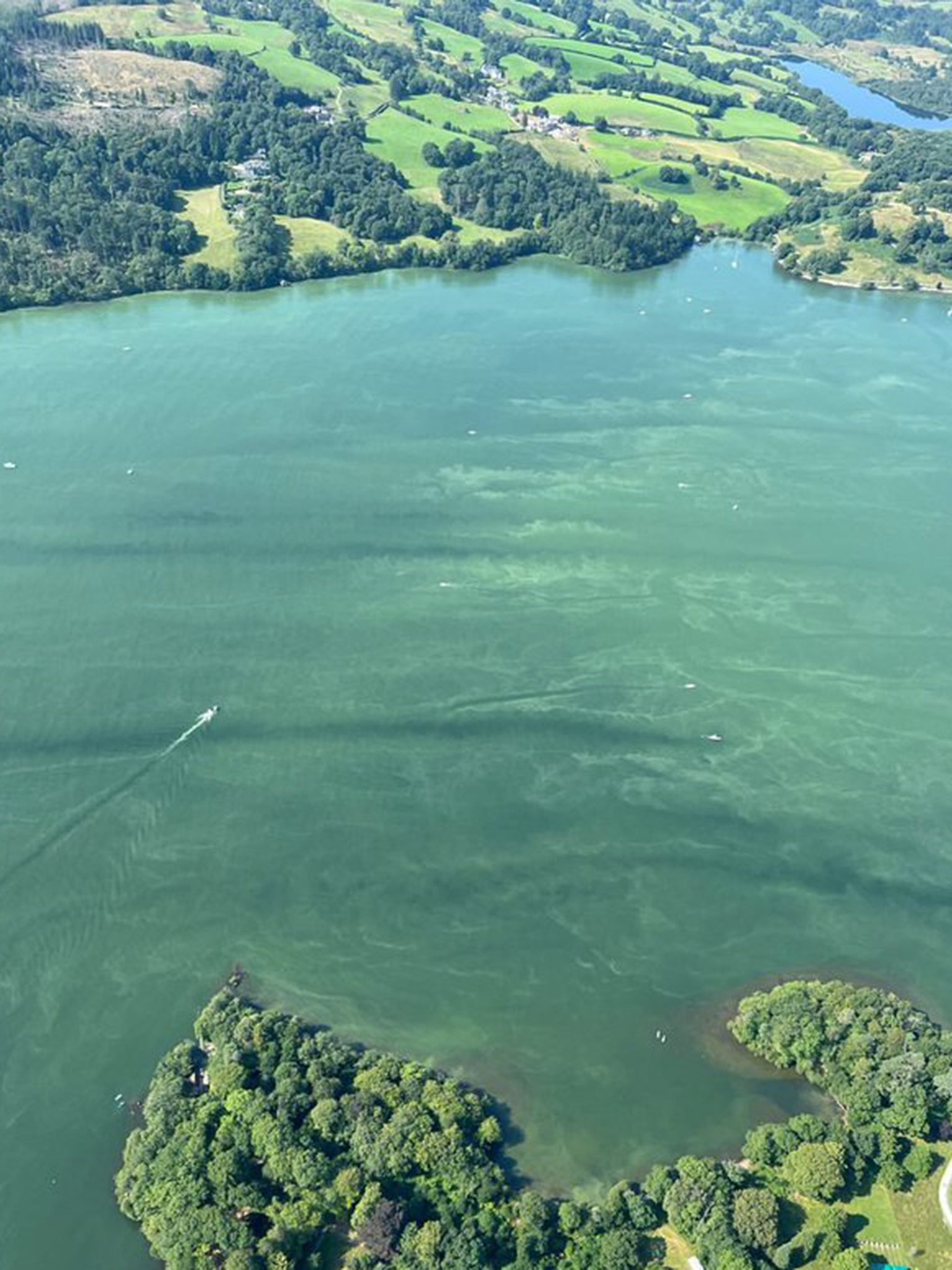 Image taken on Saturday shows algal bloom spread over Windermere