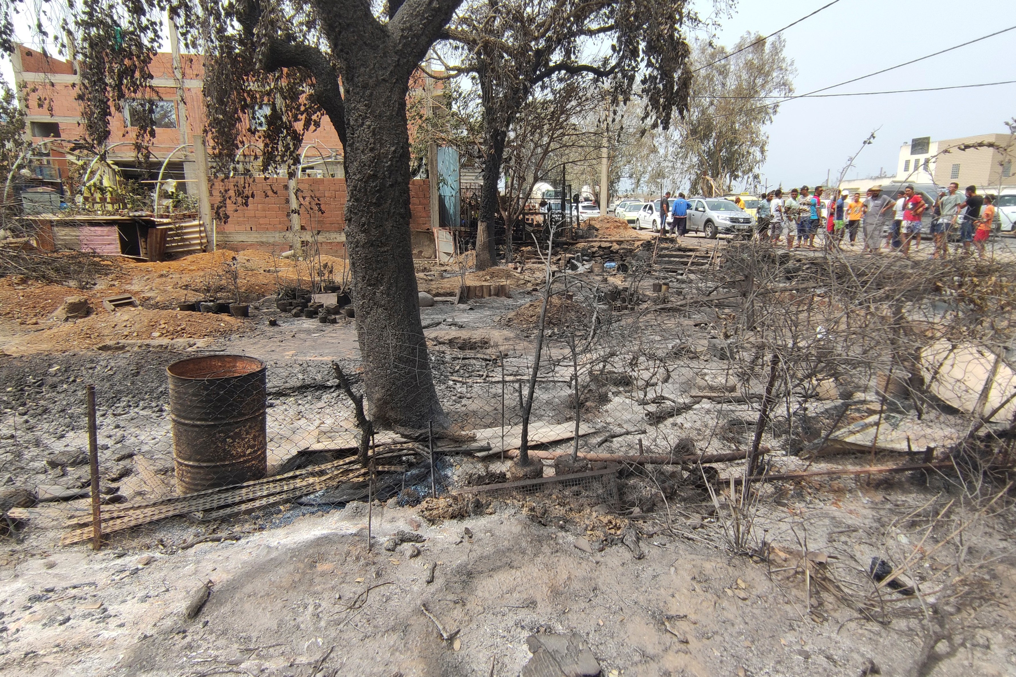 Algeria Wildfires