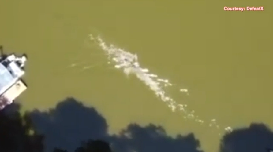 The drone video footage of the 12-ft alligator approaching Juan Carlos La Verde while he’s swimming in a Florida lake