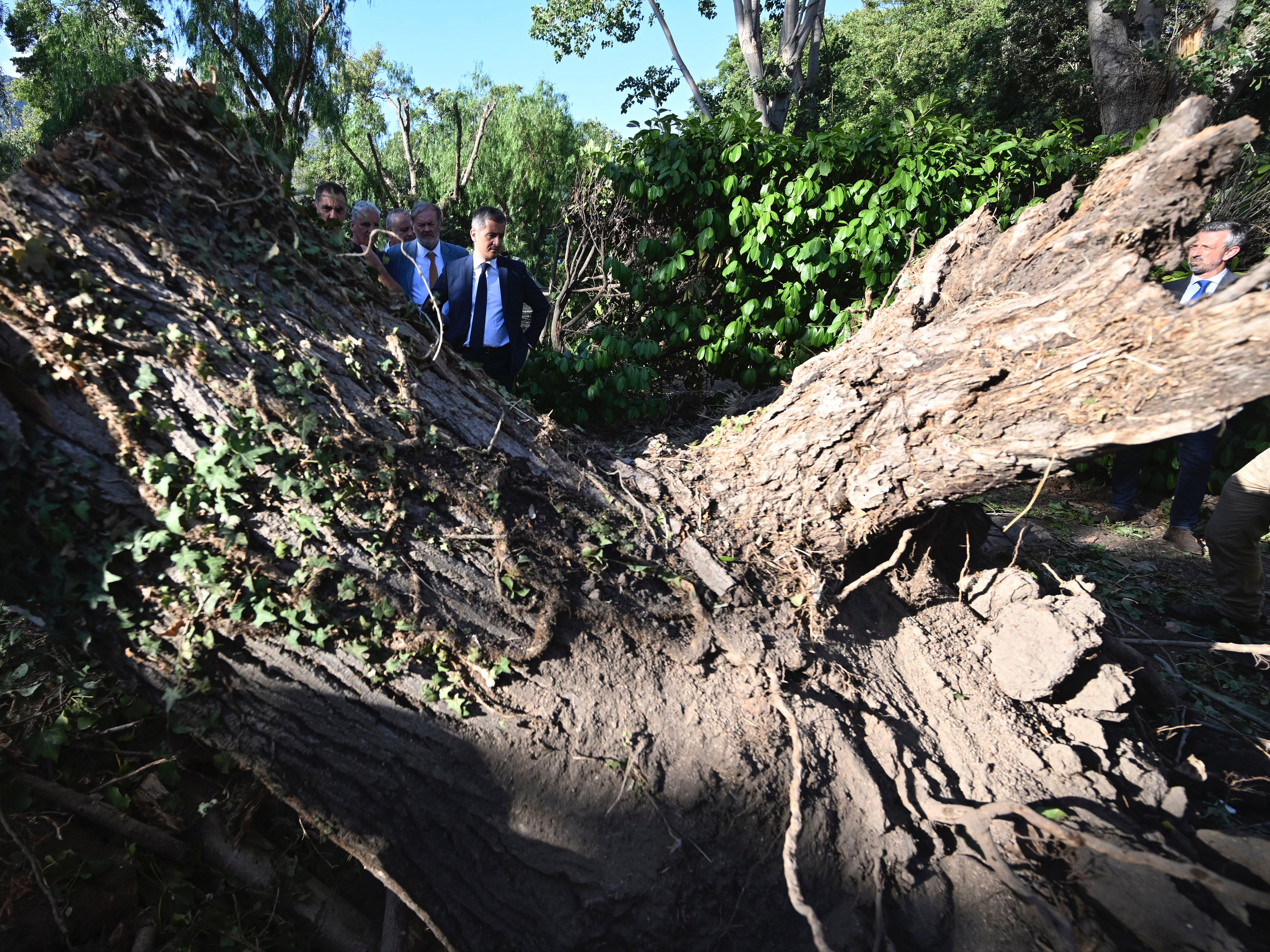 French interior minister Gerald Darmanin next to a fallen tree on the island of Corsica