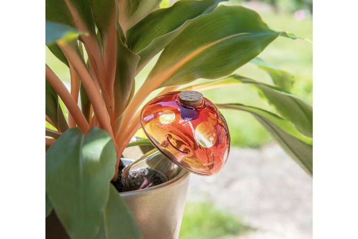Bitten Design plant watering mushroom