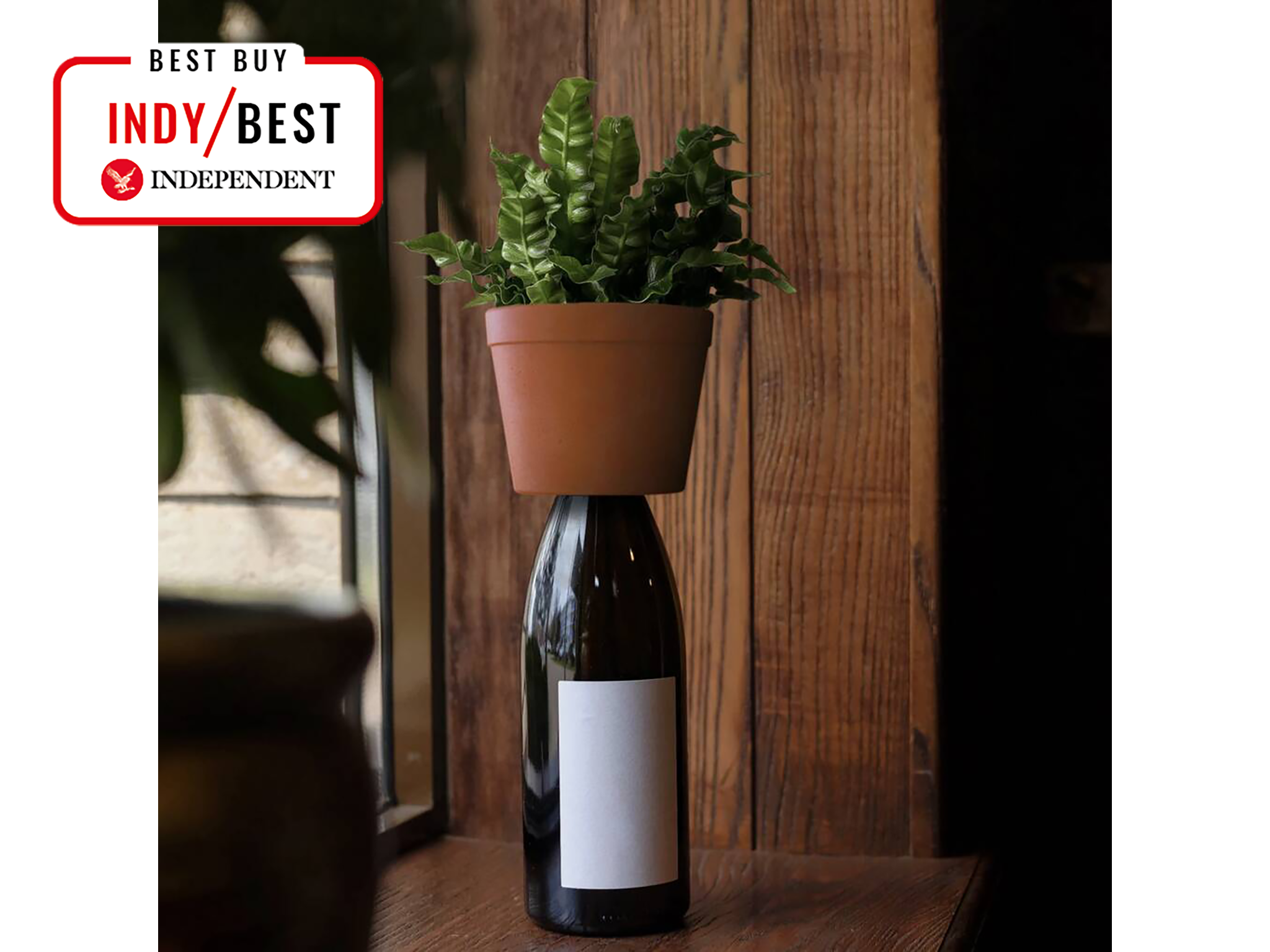 Kikkerland bottle planter