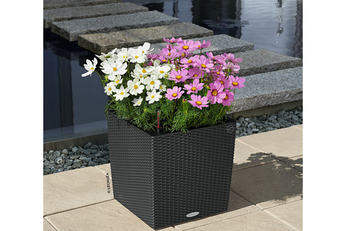 Lechuza cube cottage 30