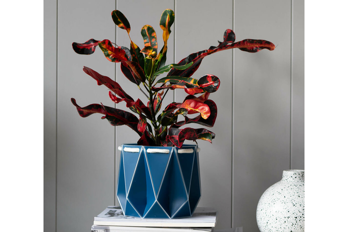 origami self watering eco plant pot