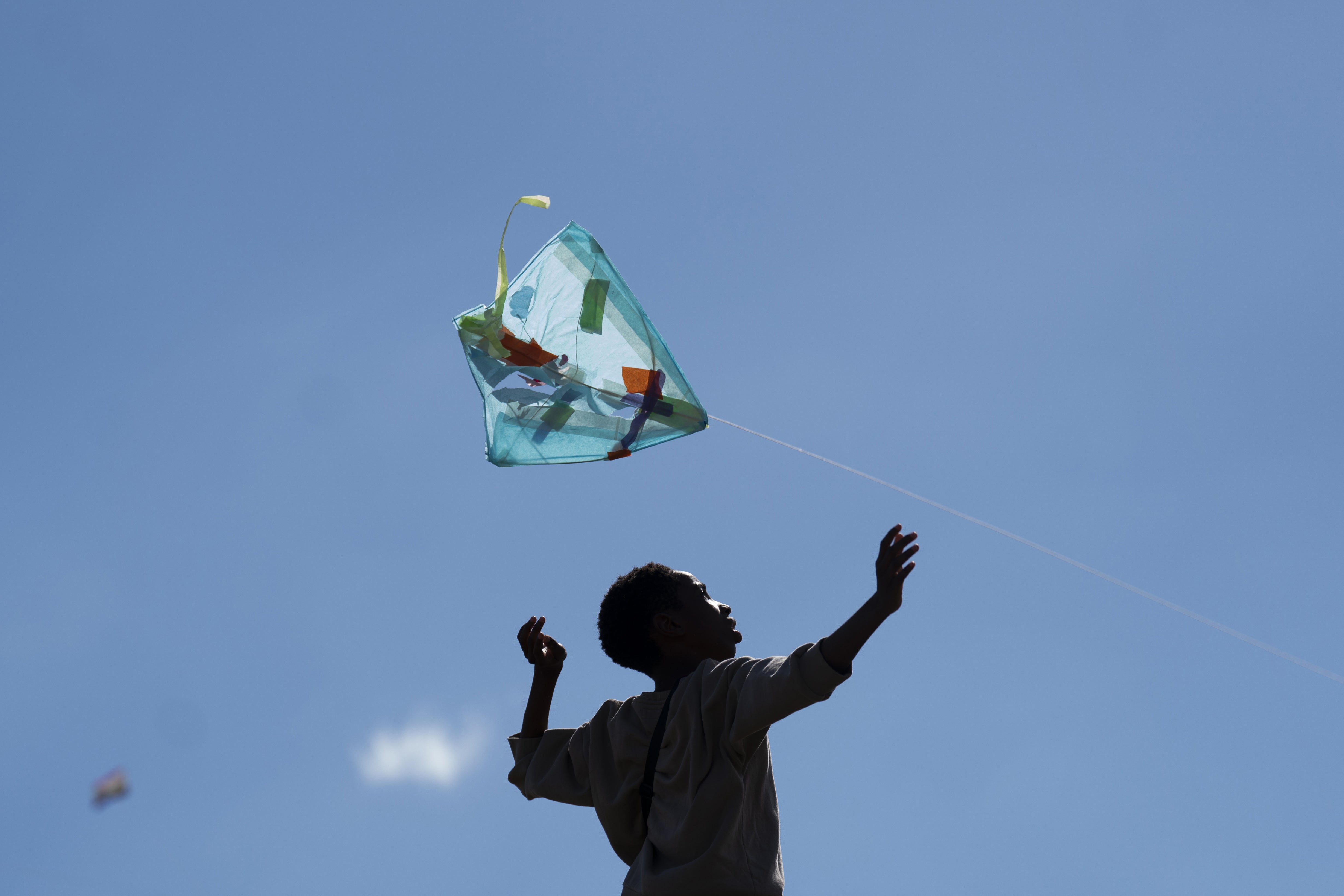 The launch of the Fly With Me Festival on Hampstead Heath in London (Kirsty O’Connor/PA)