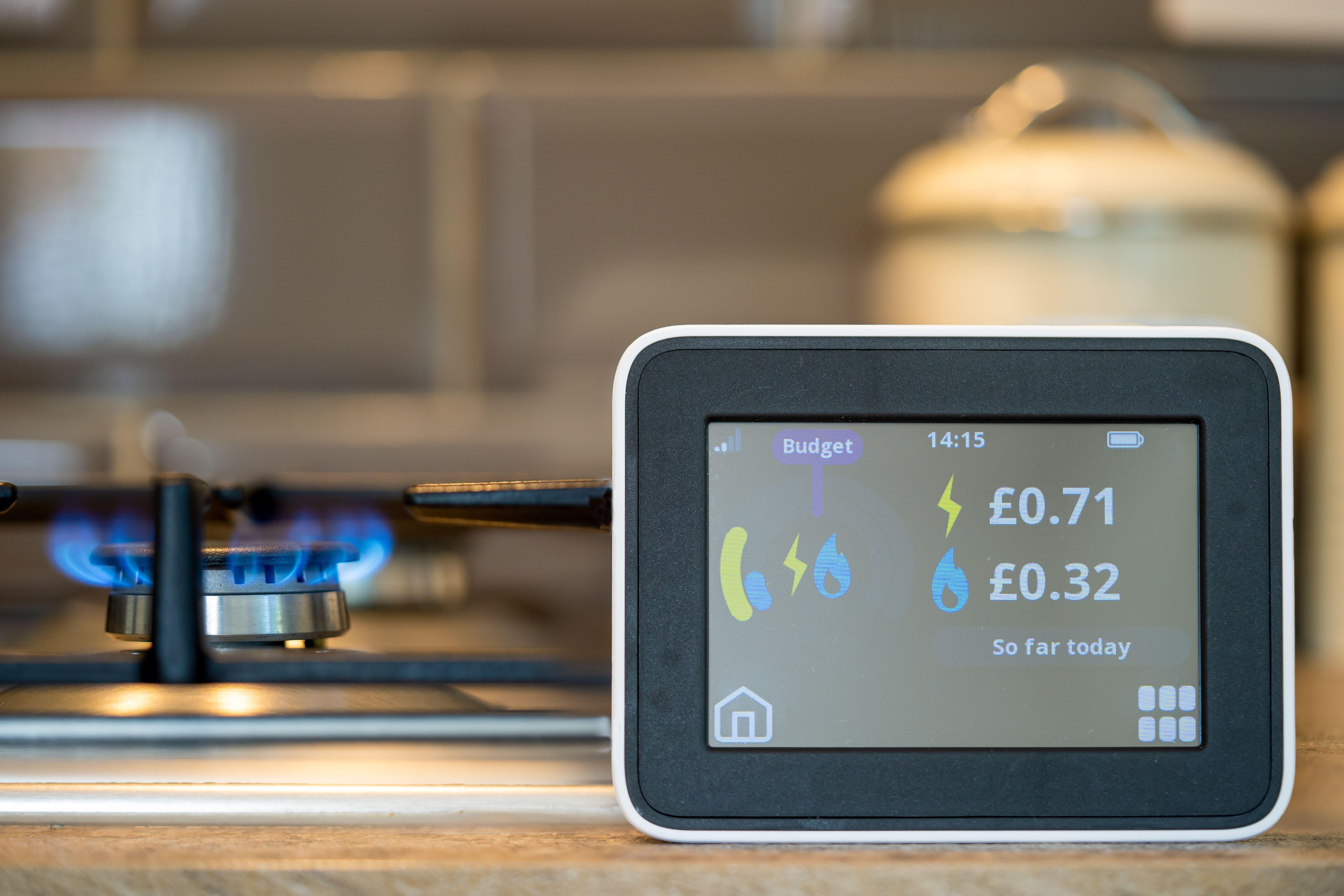 Households with smart meters are set to be paid for turning off high-energy appliances such as washing machines during peak times