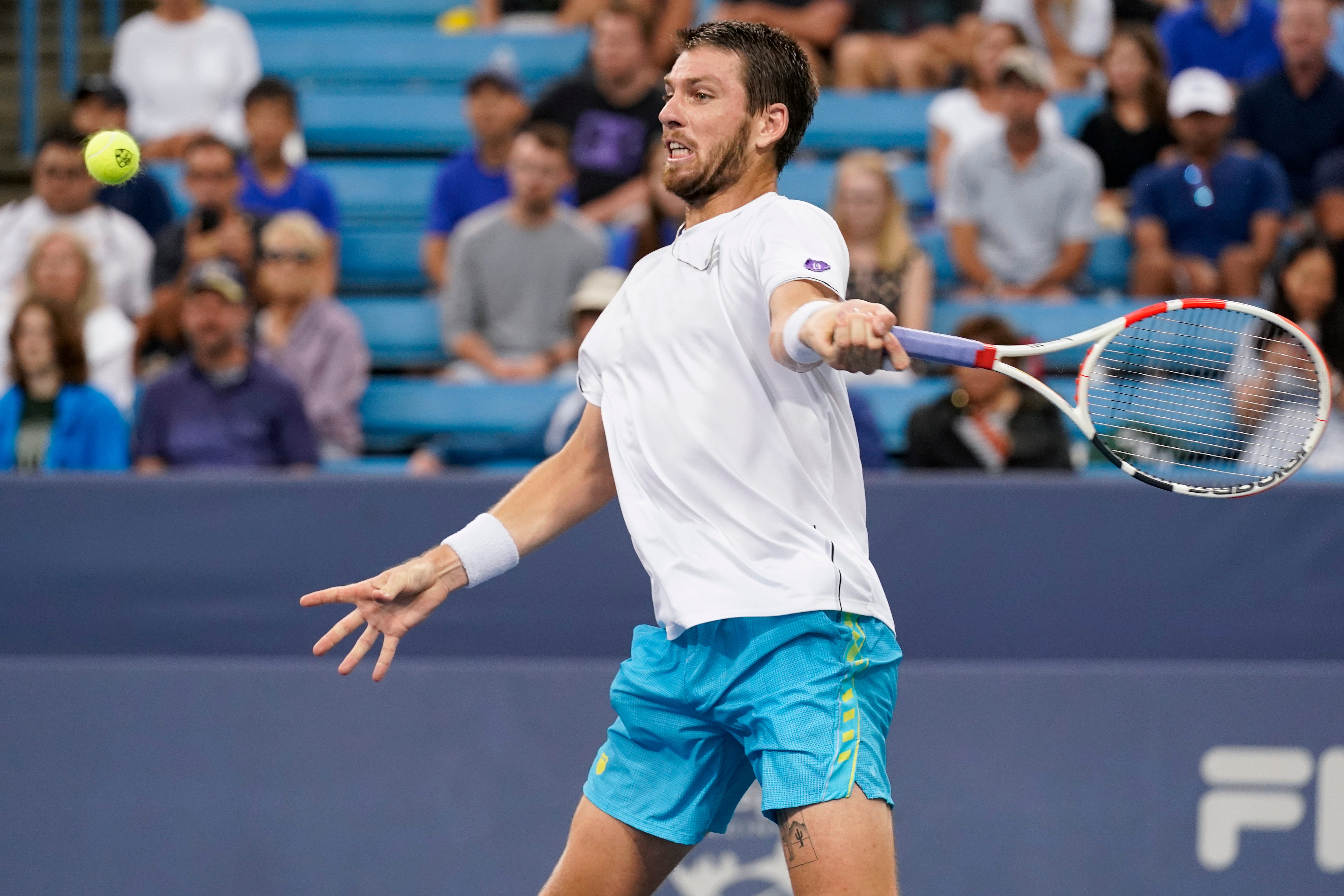 Cameron Norrie was beaten by Borna Coric (Jeff Dean/AP)