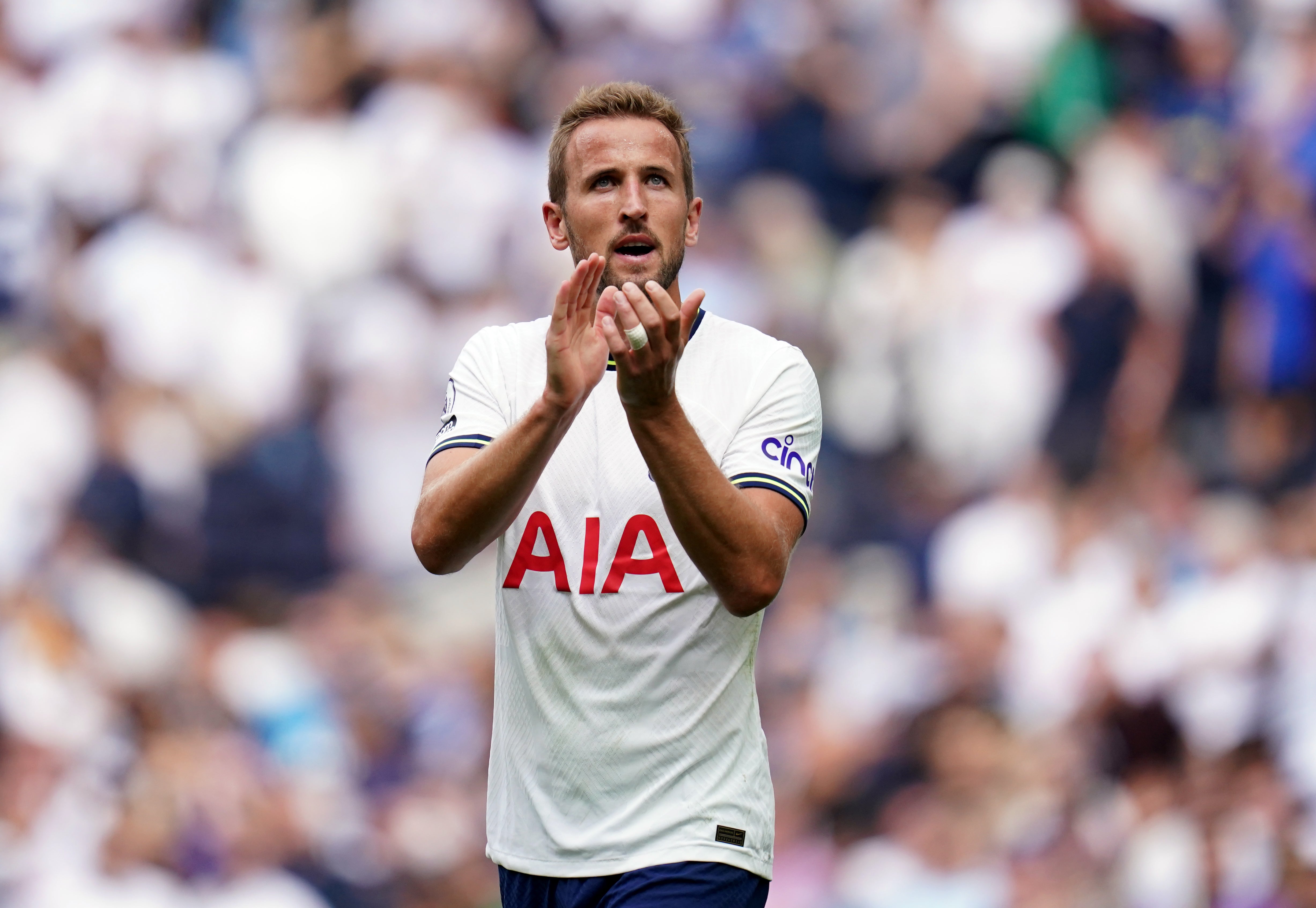 Harry Kane believes unbeaten Tottenham are going to improve (