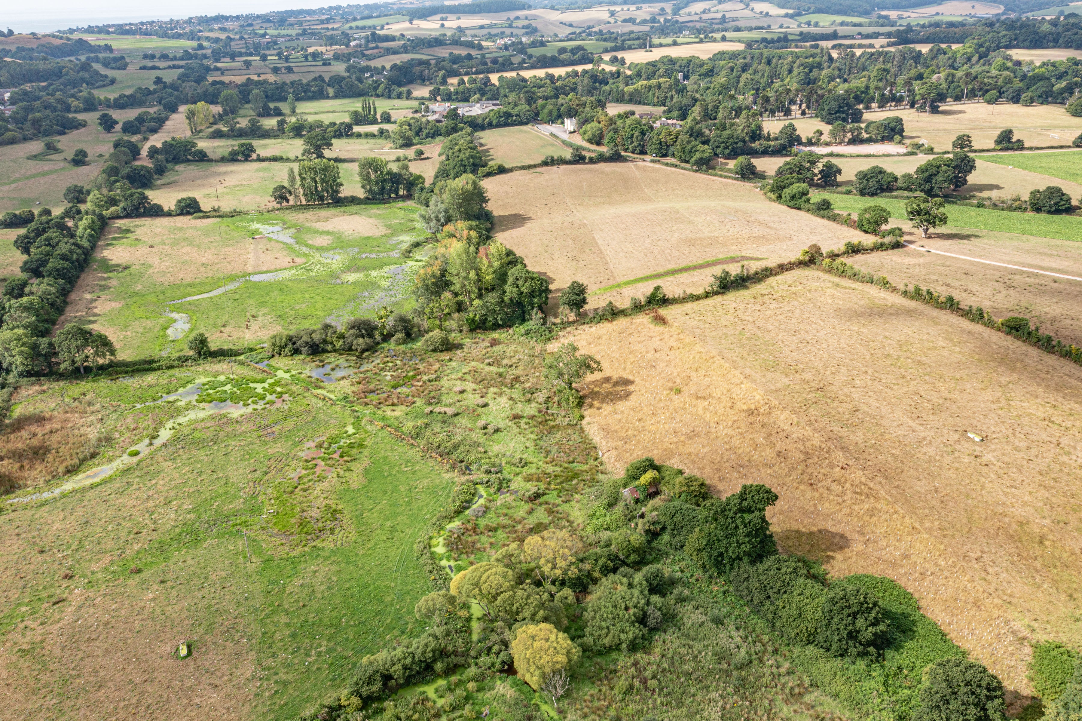 The positive impact of beavers on the landscape has highlighted the success of numerous reintroductions around the country