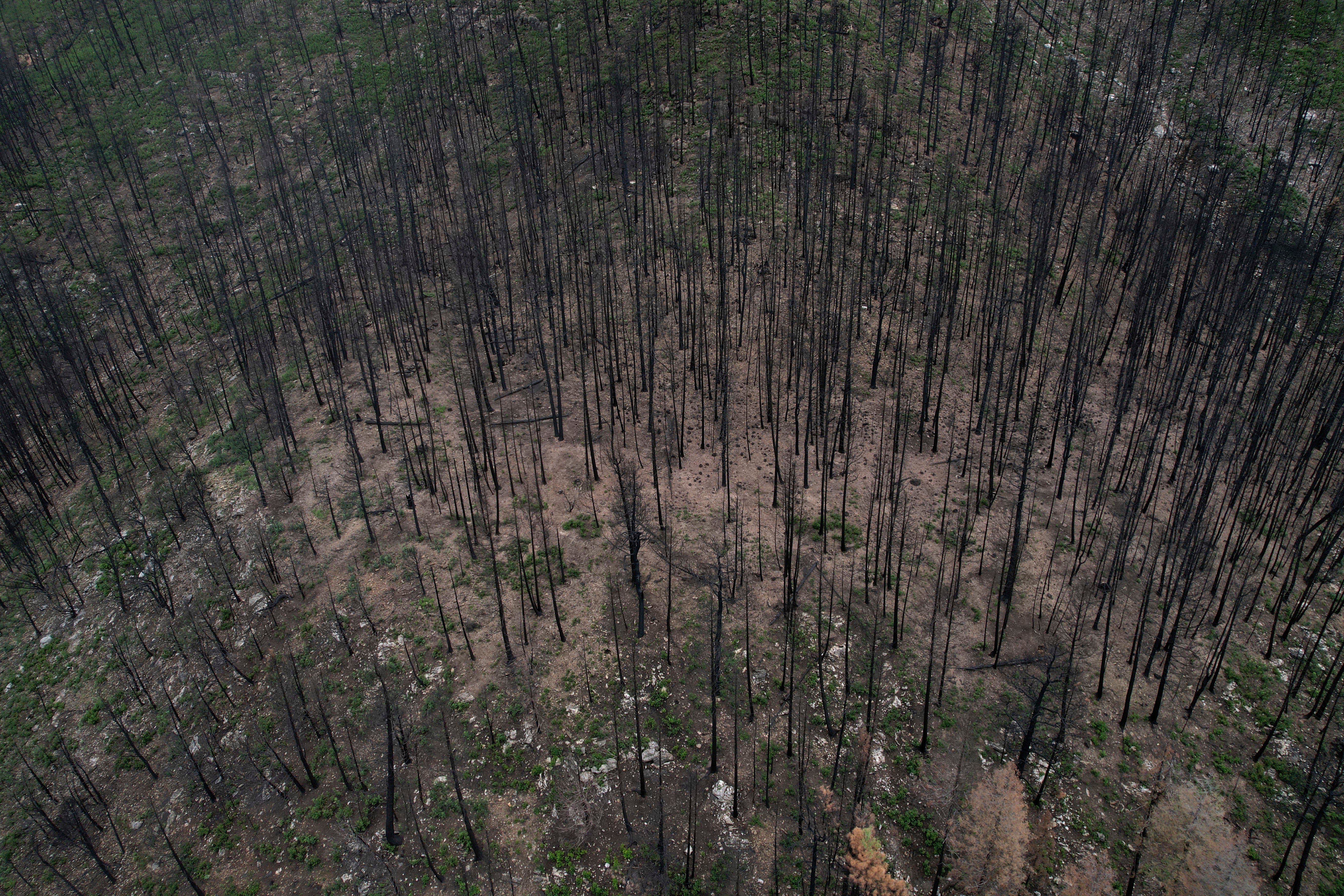 Wildfires Drinking Water