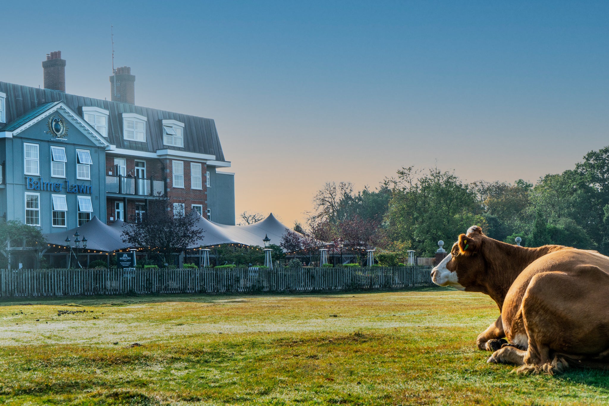 You might just wake up to some four-legged locals grazing outside your window here