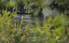 Government ‘has head in the sand’ over sewage pumped on to UK’s beaches – Labour