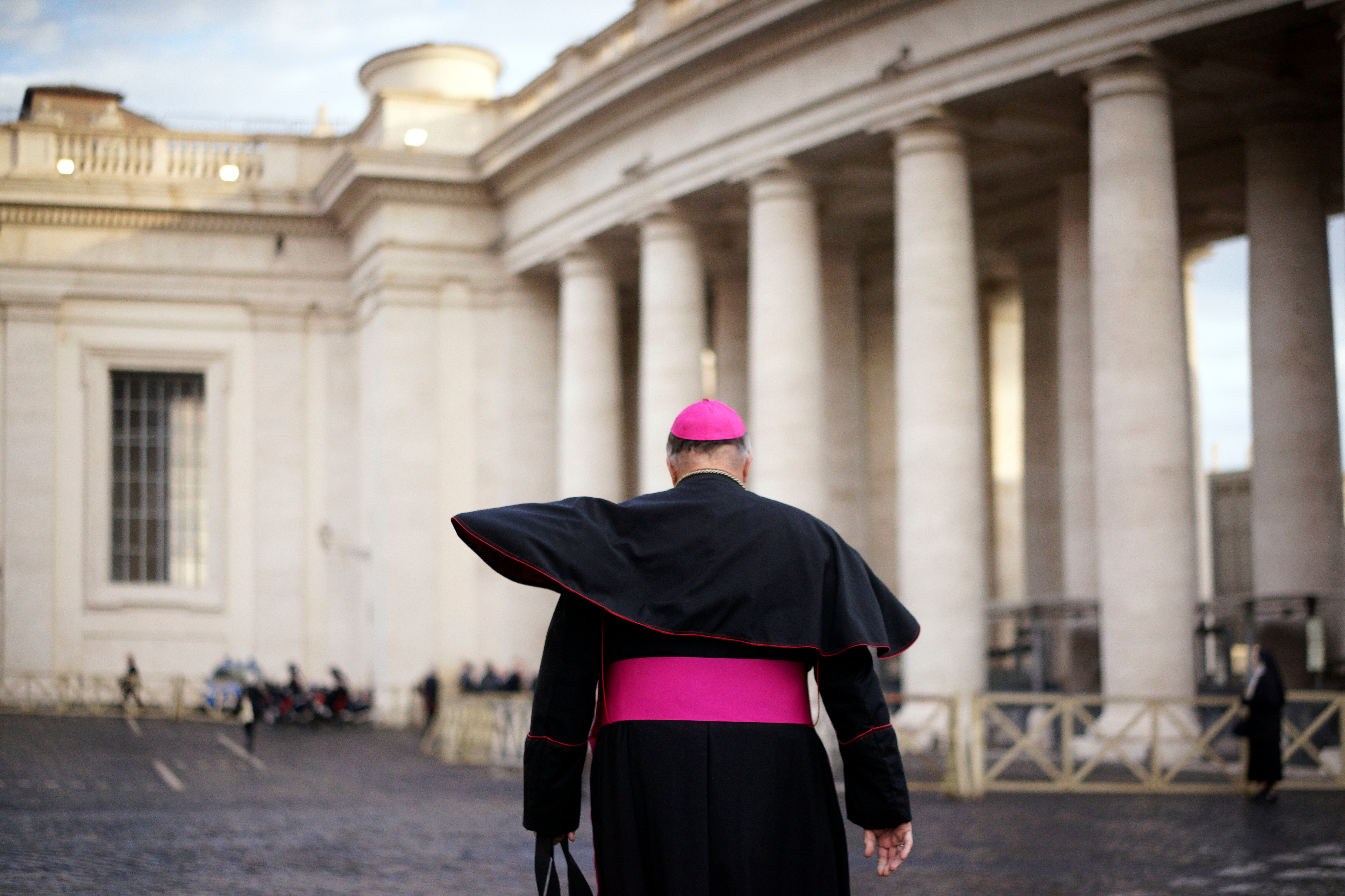 McElroy-New Cardinal