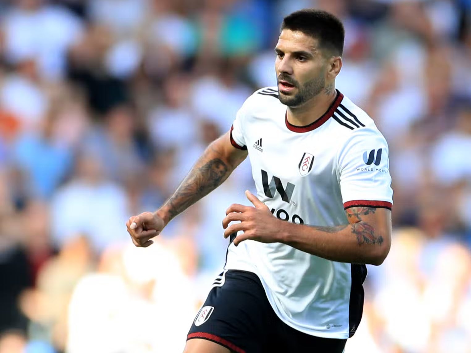 Striker Aleksandar Mitrovic has praised the belief head coach Marco Silva has brought to Fulham (Bradley Collyer/PA)