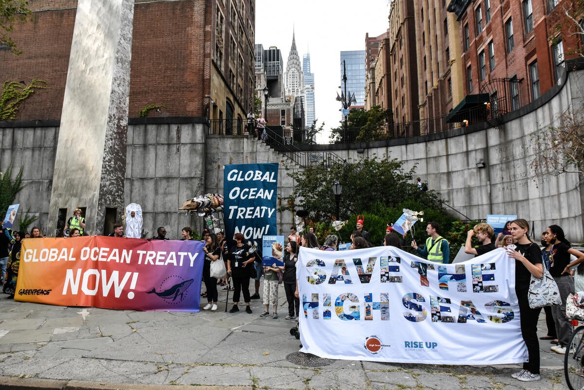 United Nations negotiations for a new Global Ocean Treaty are stalling and activists are demanding that a robust treaty is created by the end of 2022