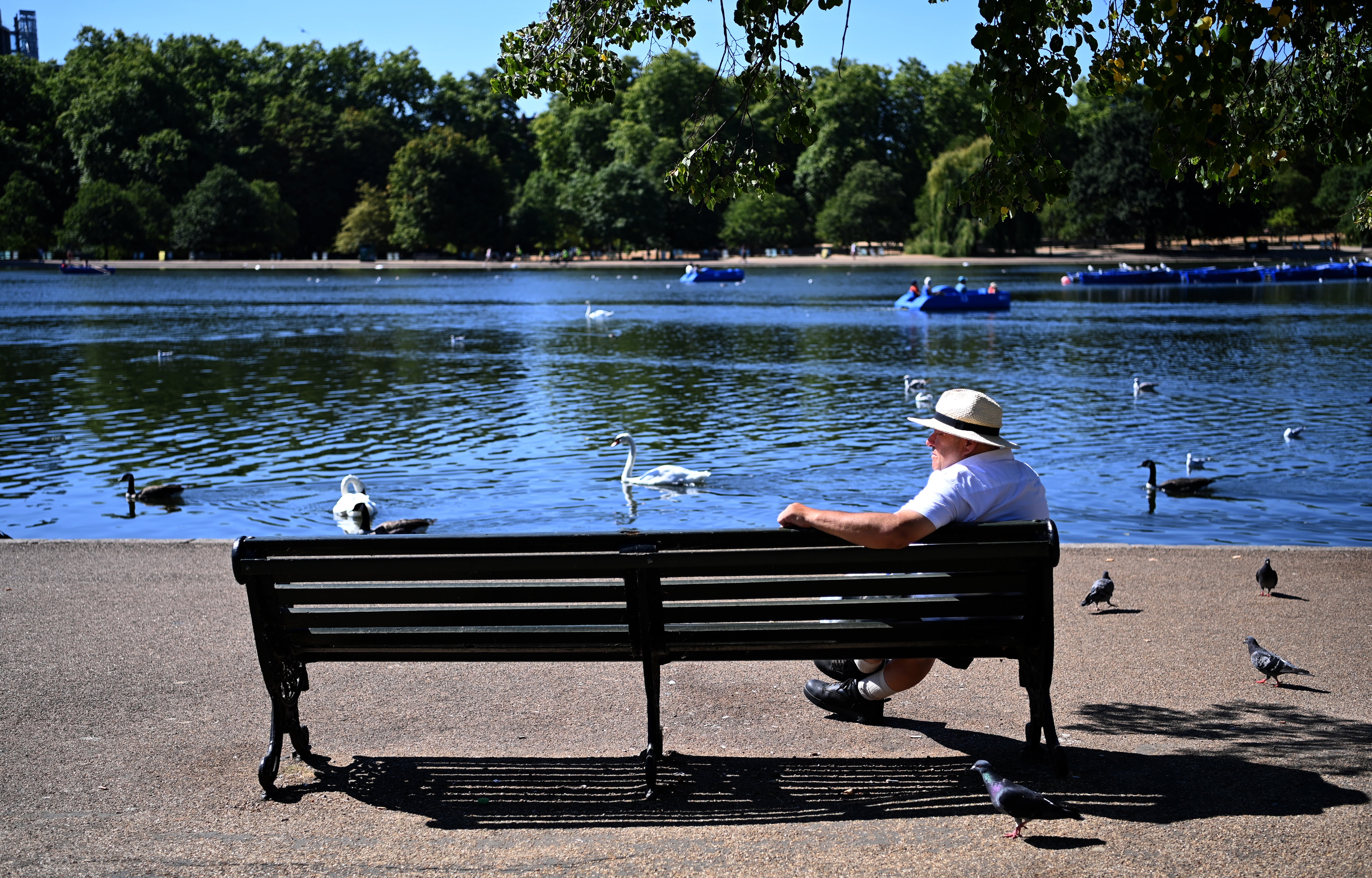 A man sits in the morning sun in London’s Hyde Park earlier in August