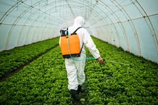 RoundUp: World’s most popular weed-killer linked to convulsions in animals for first time