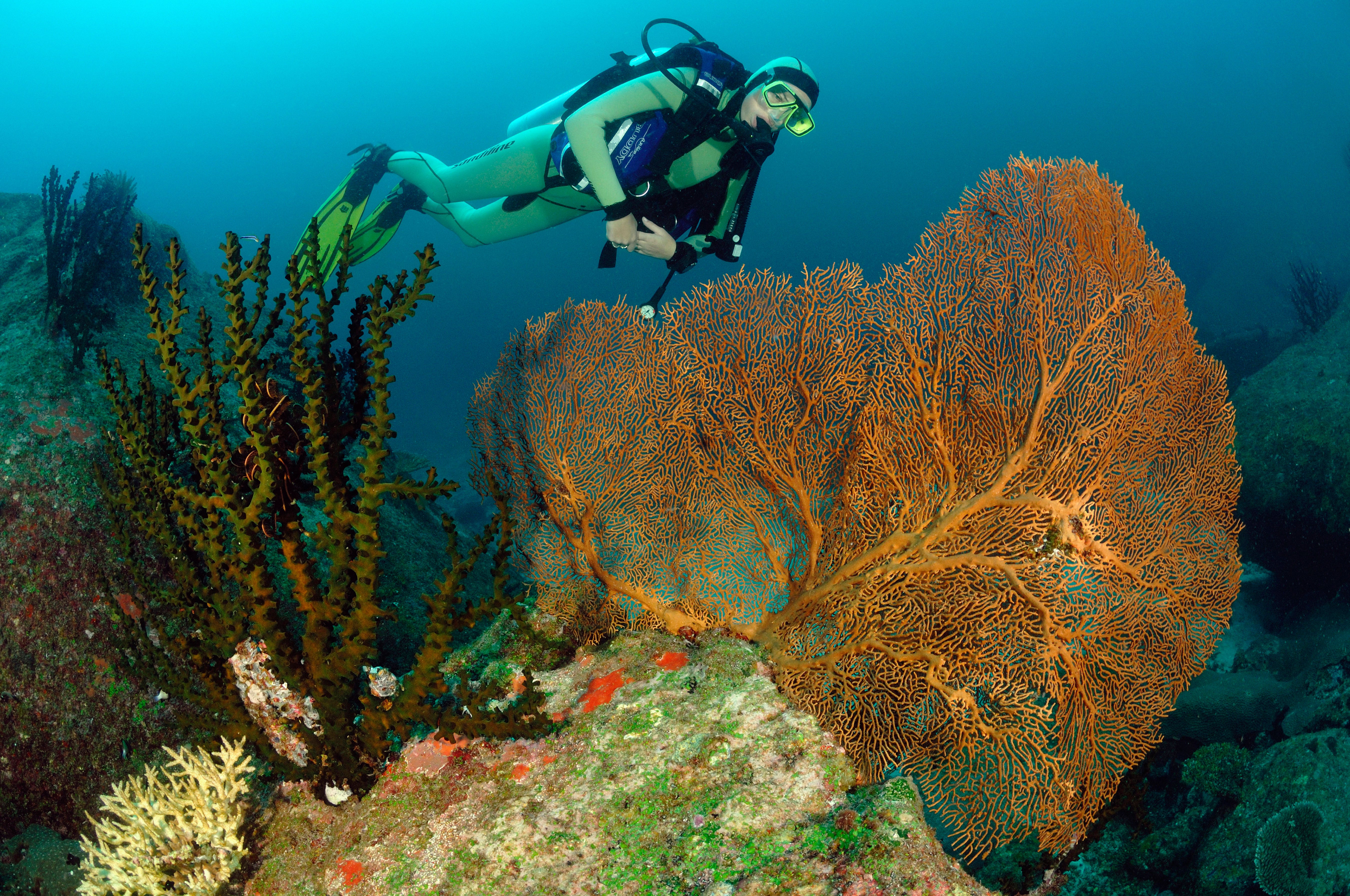 Explore the lagoons and jungle of the beautifully wild Surin Islands