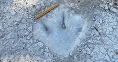 Texas drought reveals dinosaur footprints from 113 million years ago