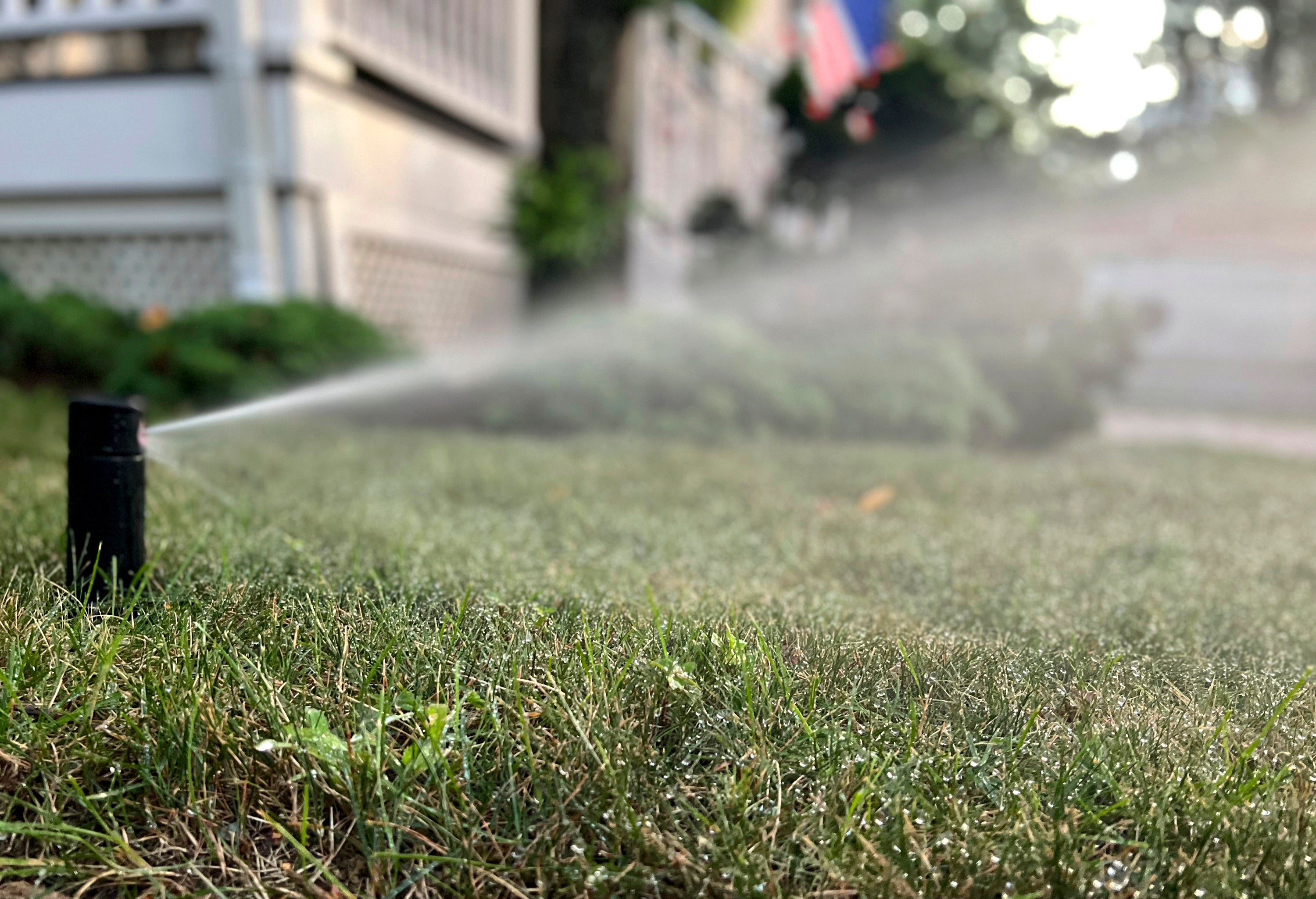 It’s important to feed your lawn in autumn, experts say