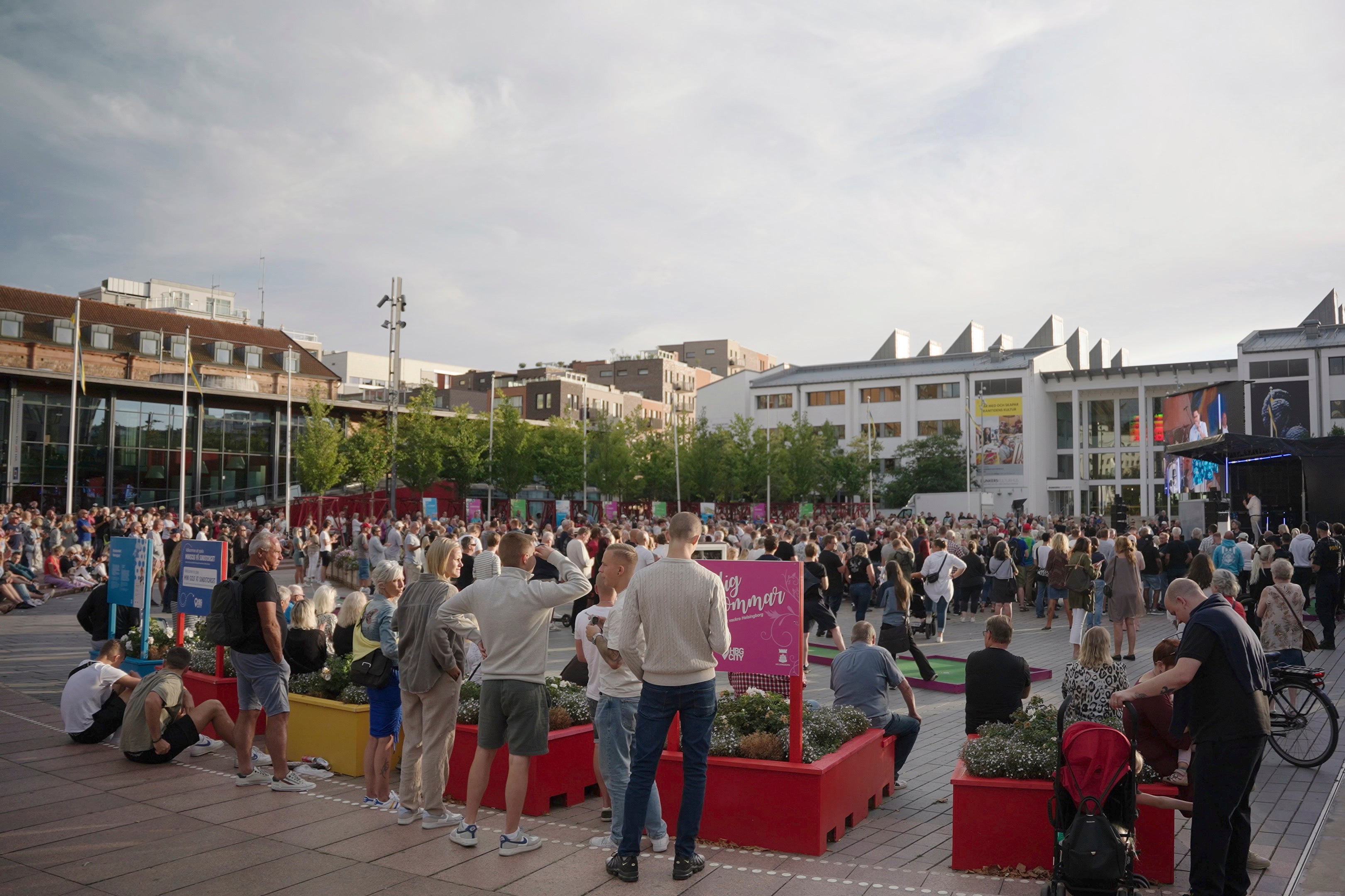 Sweden Nationalist Leader