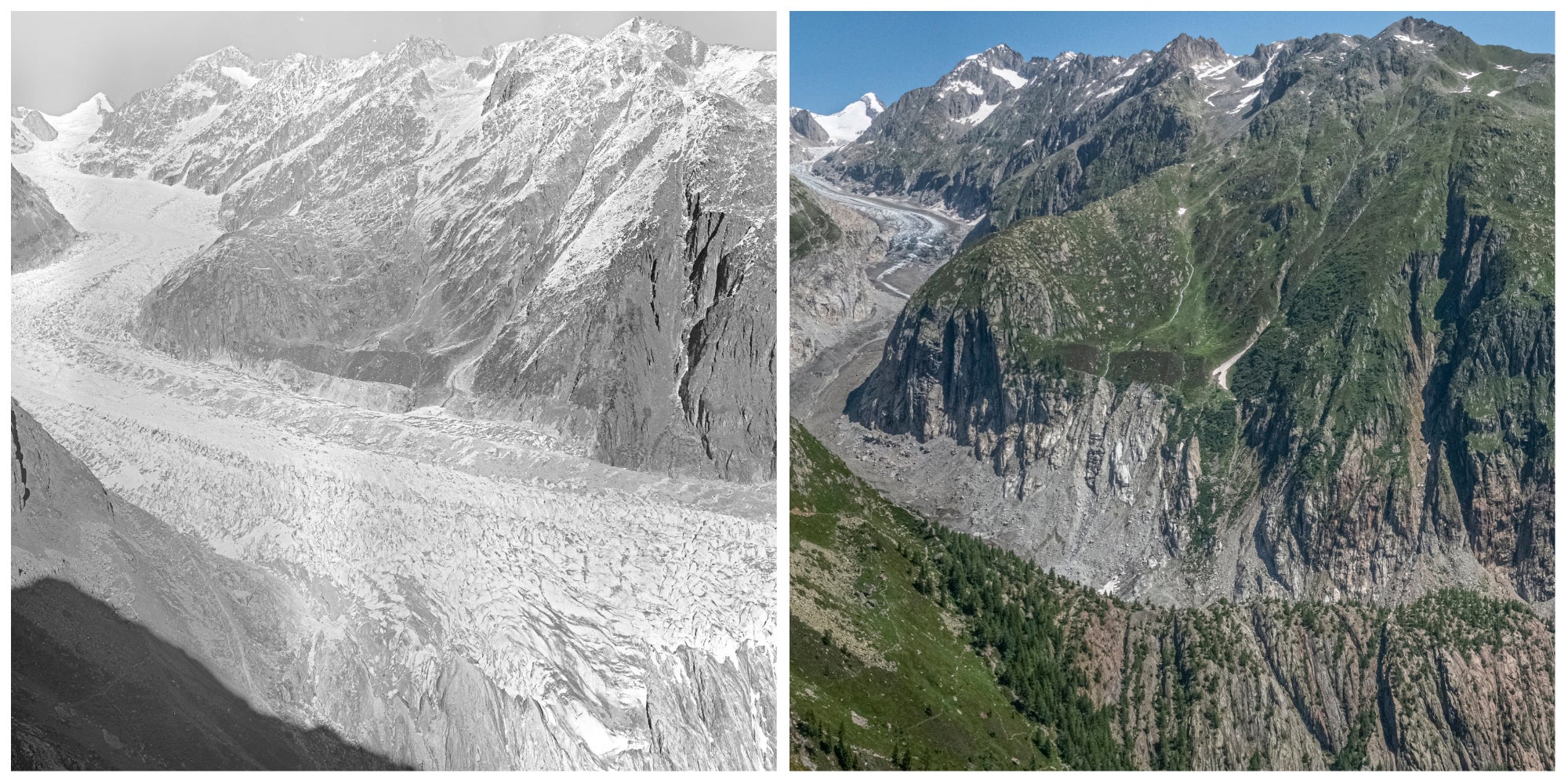 The Fiescher glacier in the Swiss Alps, as seen in 1928 (left) and 2021 (right)